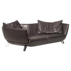 De Sede DS-102 Sofa in Espresso Upholstery by Mathias Hoffmann