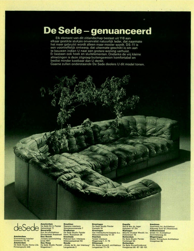 De Sede DS 11 Terracotta Leather Sectional Sofa at 1stDibs | terracotta  sectional sofa