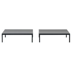 De Sede DS-159 Table with Black Top by De Sede Design Team