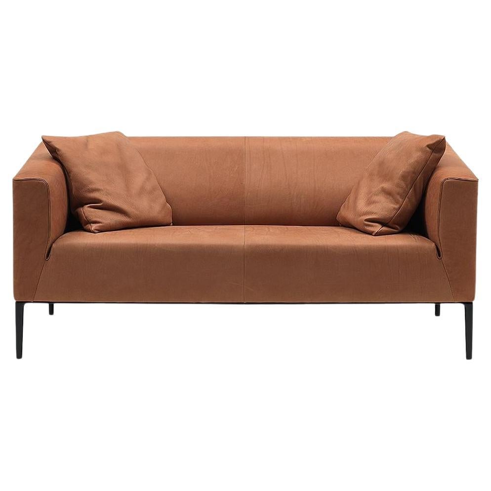 De Sede DS-161 Two-Seat Sofa in Hazel Brown Upholstery by De Sede Design Team For Sale