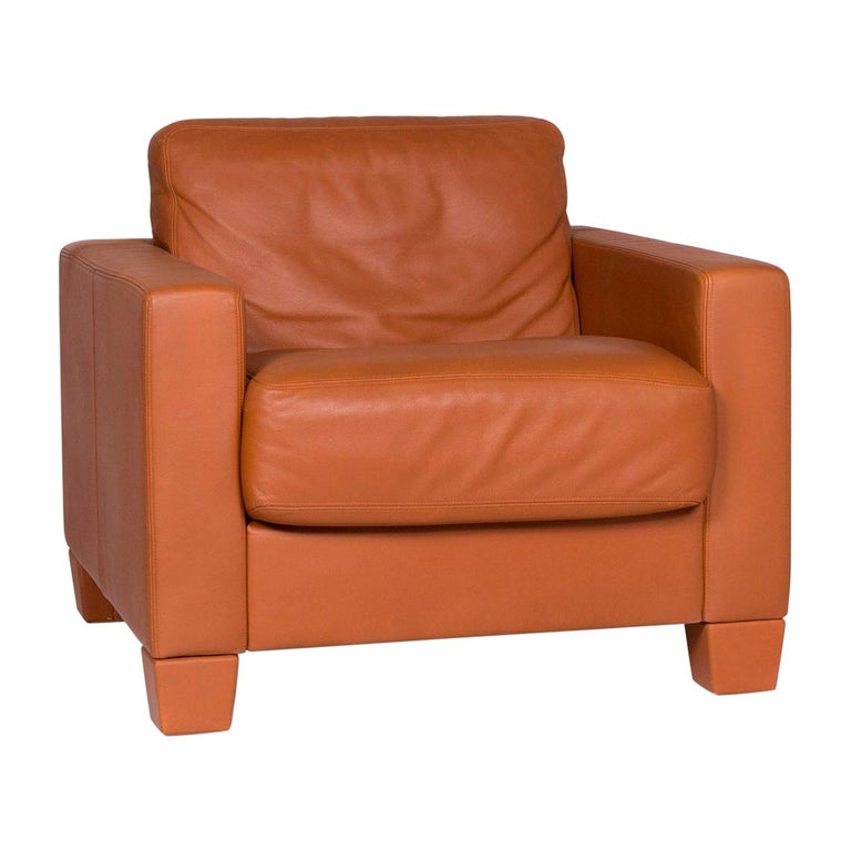 De Sede Ds 17 Designer Leder Sessel Cognac Sessel For Sale At 1stdibs