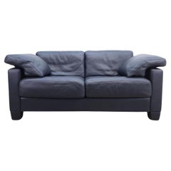 De Sede ds 17 Zweisitzer Designersofa Ledersofa desede Ledercouch Clubleder