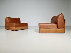 De Sede DS-19 Sessel aus cognacfarbenem Leder:: 1970er