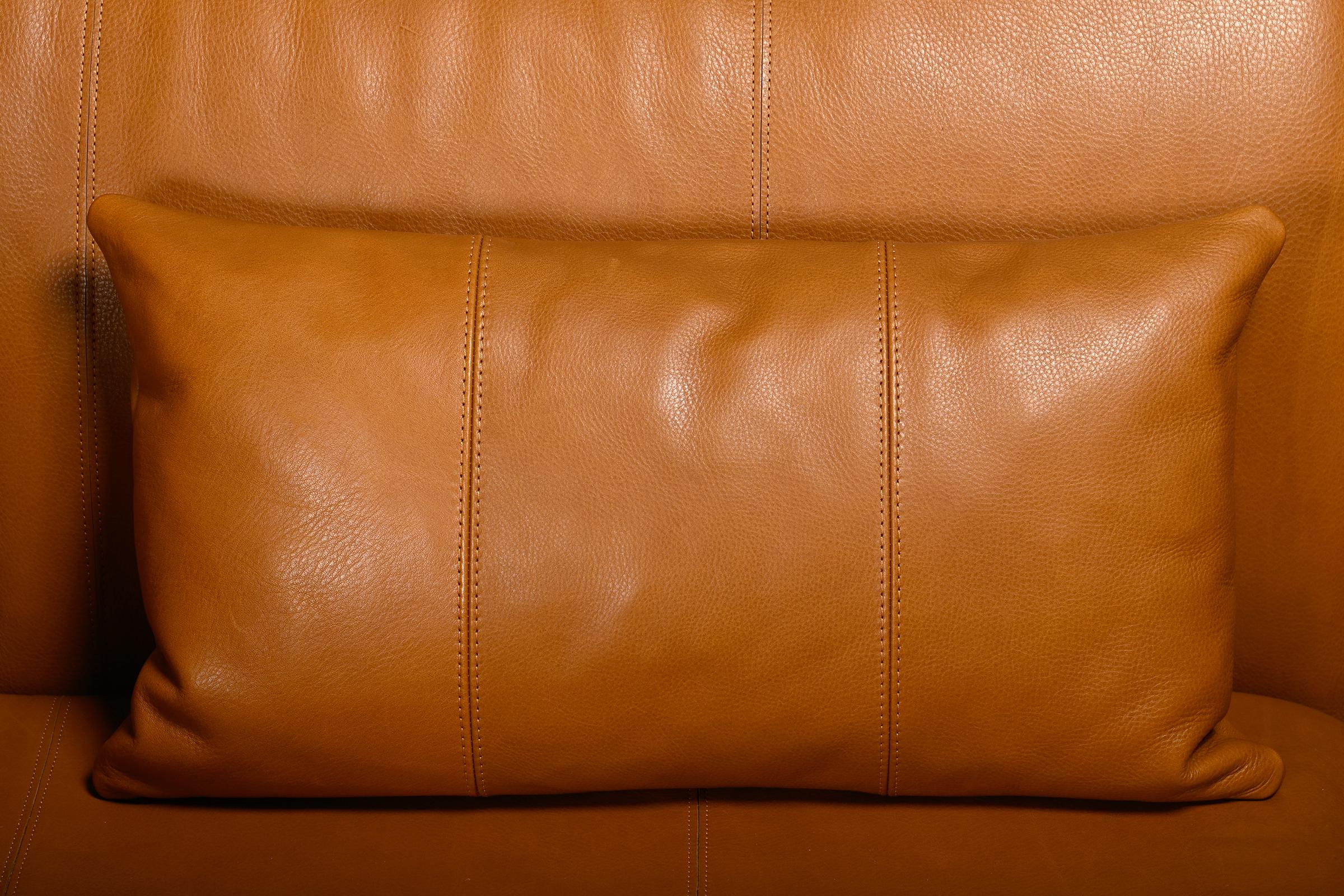 De Sede DS-19 model 'Pagoda' modular Sofa in Cognac Leather For Sale 11