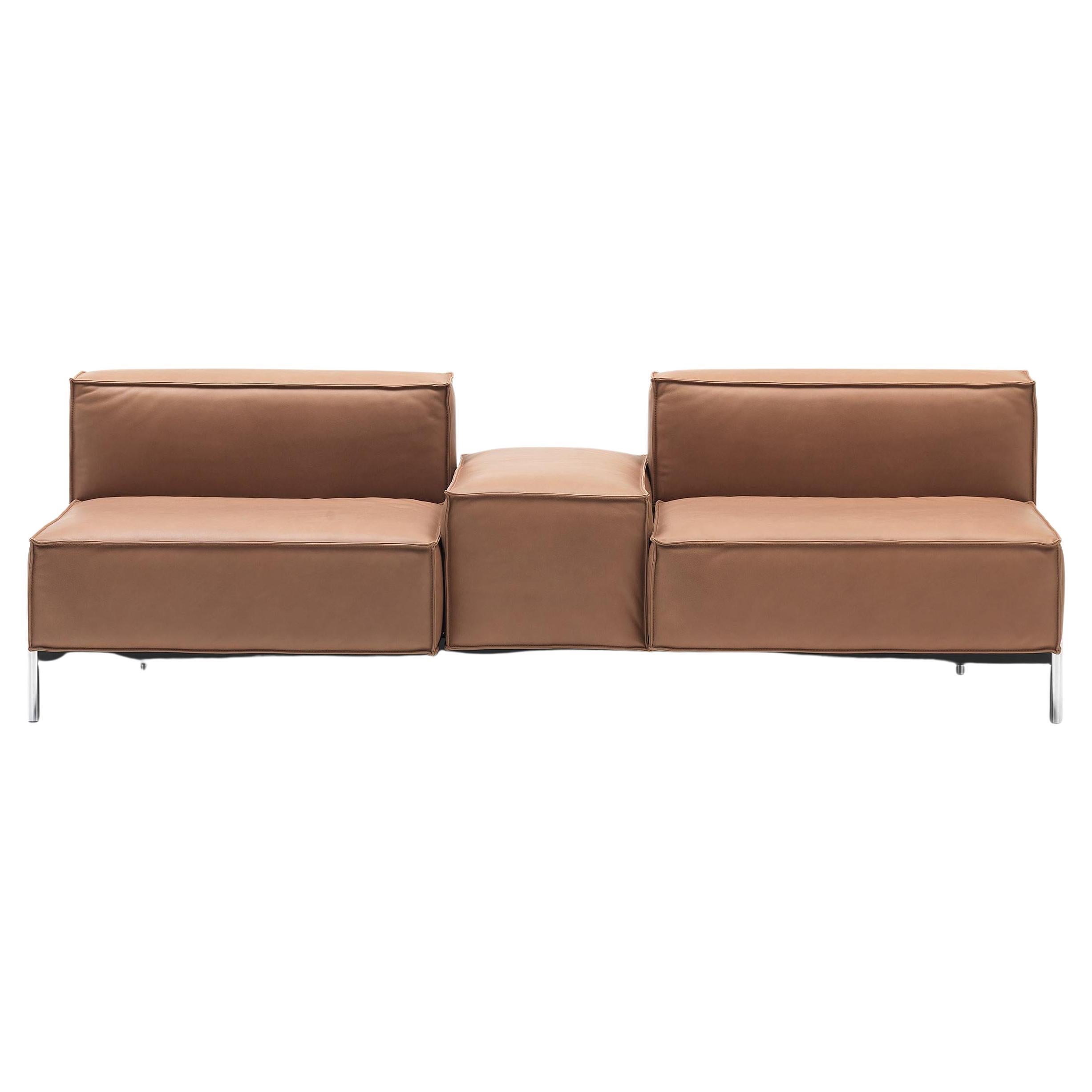 De Sede DS-21/323C Two-Seat Modular Sofa in Hazel Leather by Stephan Hürlemann For Sale