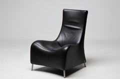 De Sede DS-264 Lounge Chair by Mathias Hoffmann, Swiss Leather Design