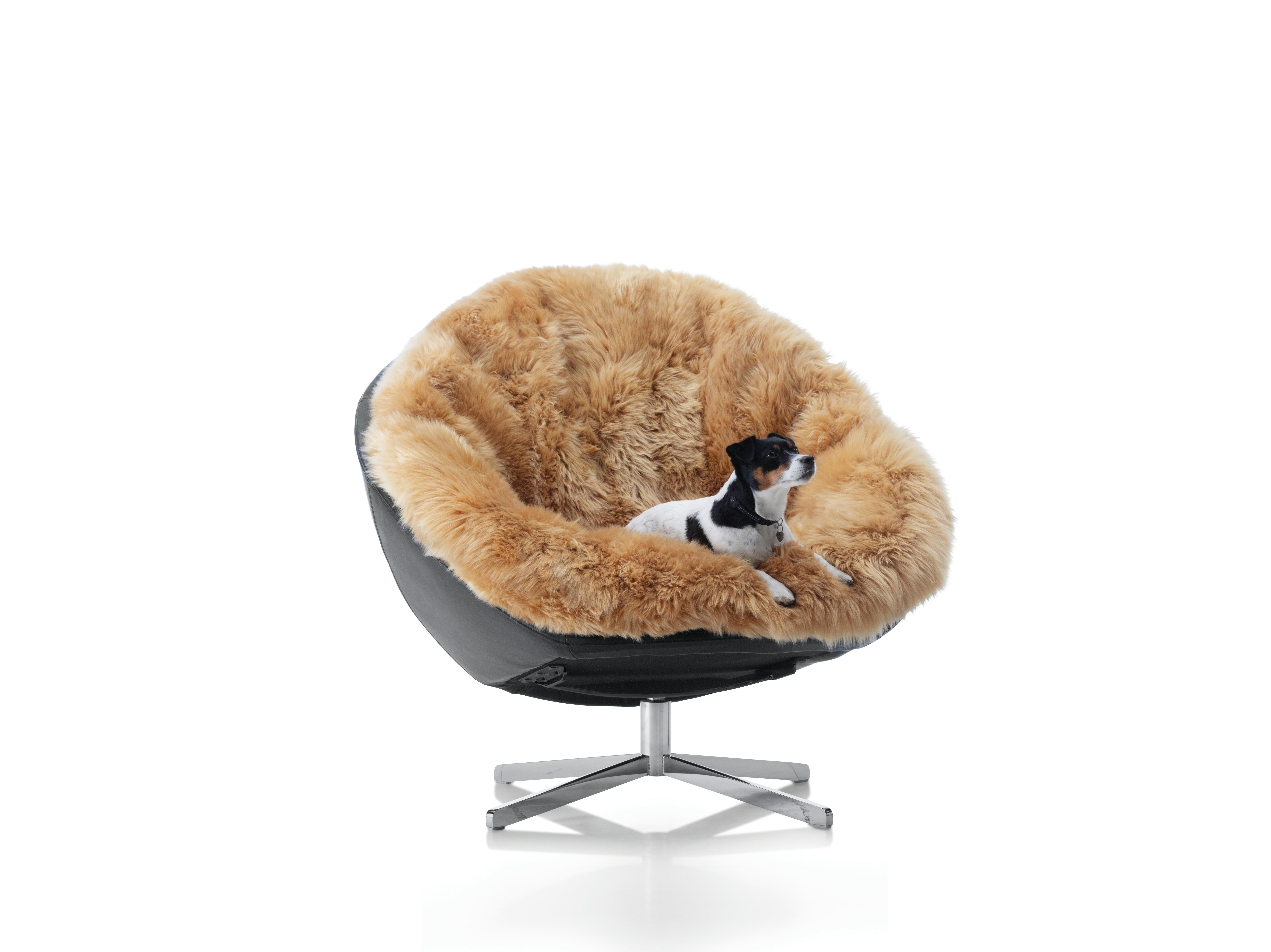 Modern De Sede DS-265 Coco with Sheepskin 'Nomade' For Sale