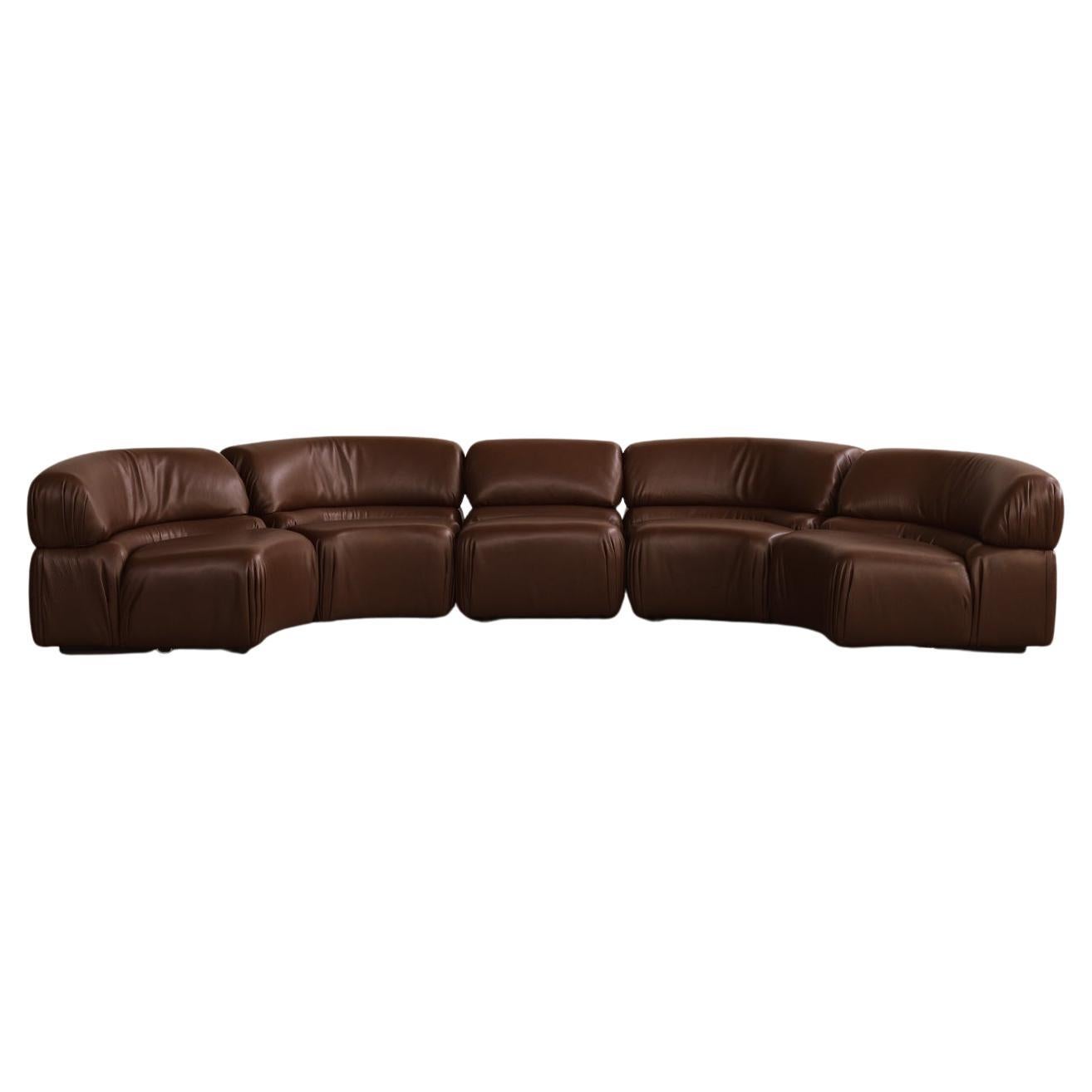 De Sede “DS-28 Cosmos” Modular Sofa for De Sede, Brown Leather, 1970, Set of 5 For Sale