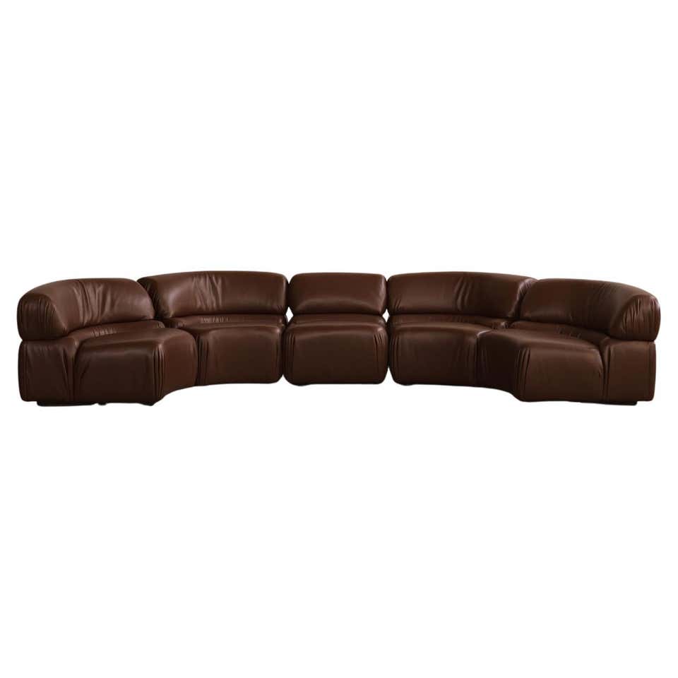 Modular Snake De Sede DS-600 'Snake' Sectional Sofa in Brown Leather For Sale at 1stDibs