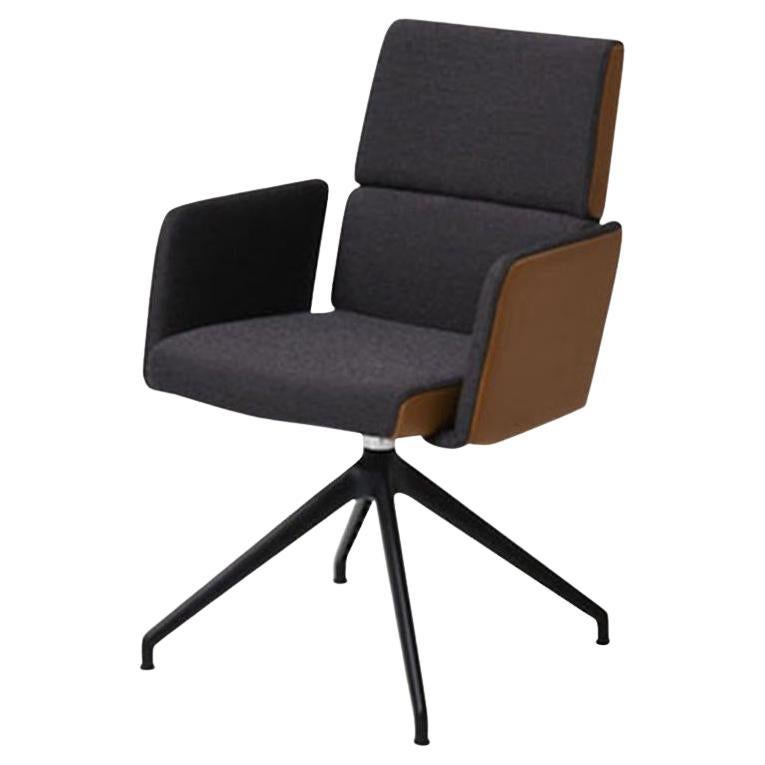 Fauteuil De Sede DS-414 à base étoilée en tissu d'ébène par De Sede Design Team