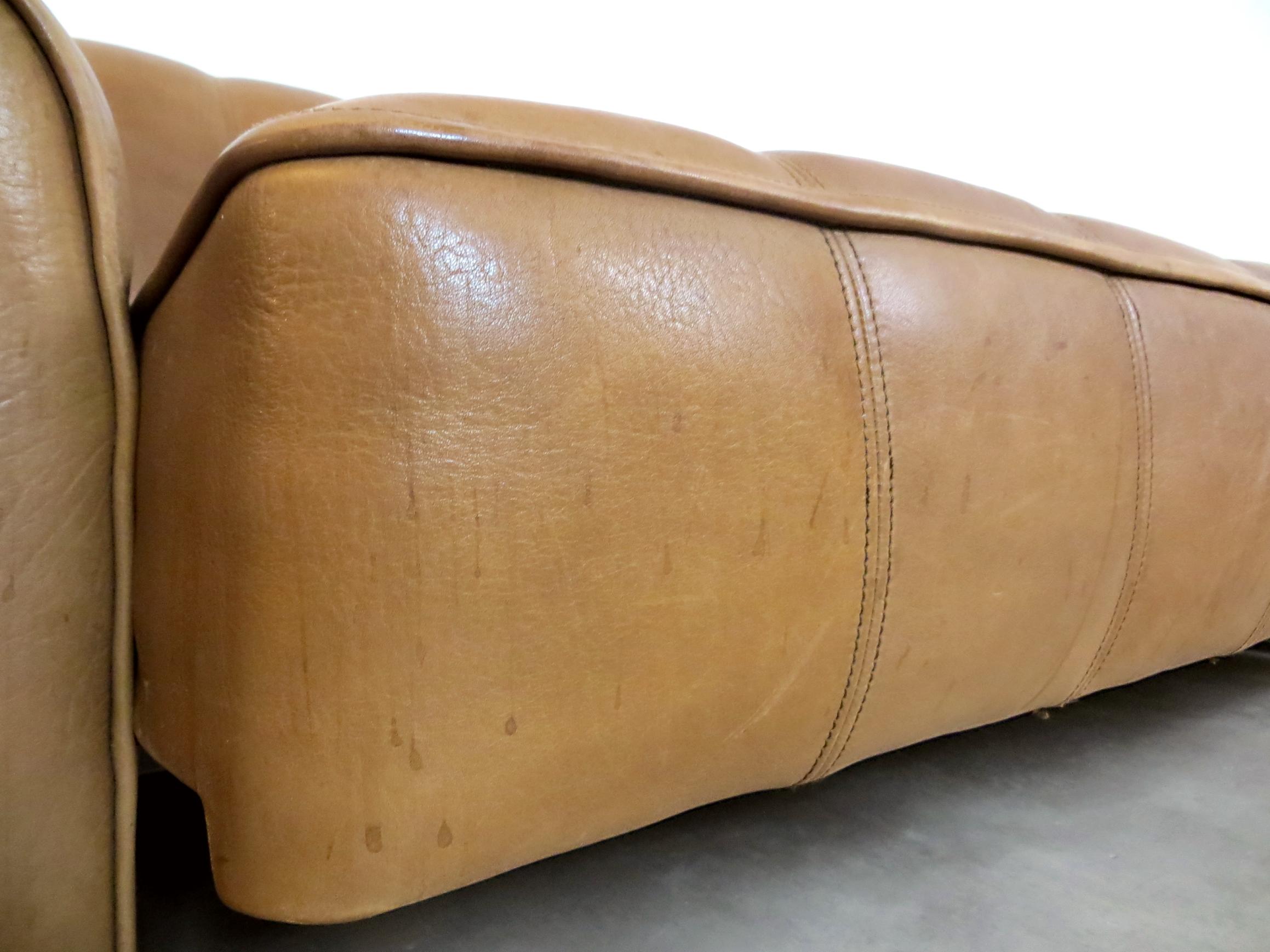 De Sede DS-44 Vintage Thick Buffalo Neck, Leather Lounge 3-Seat Sofa, 1970s 13