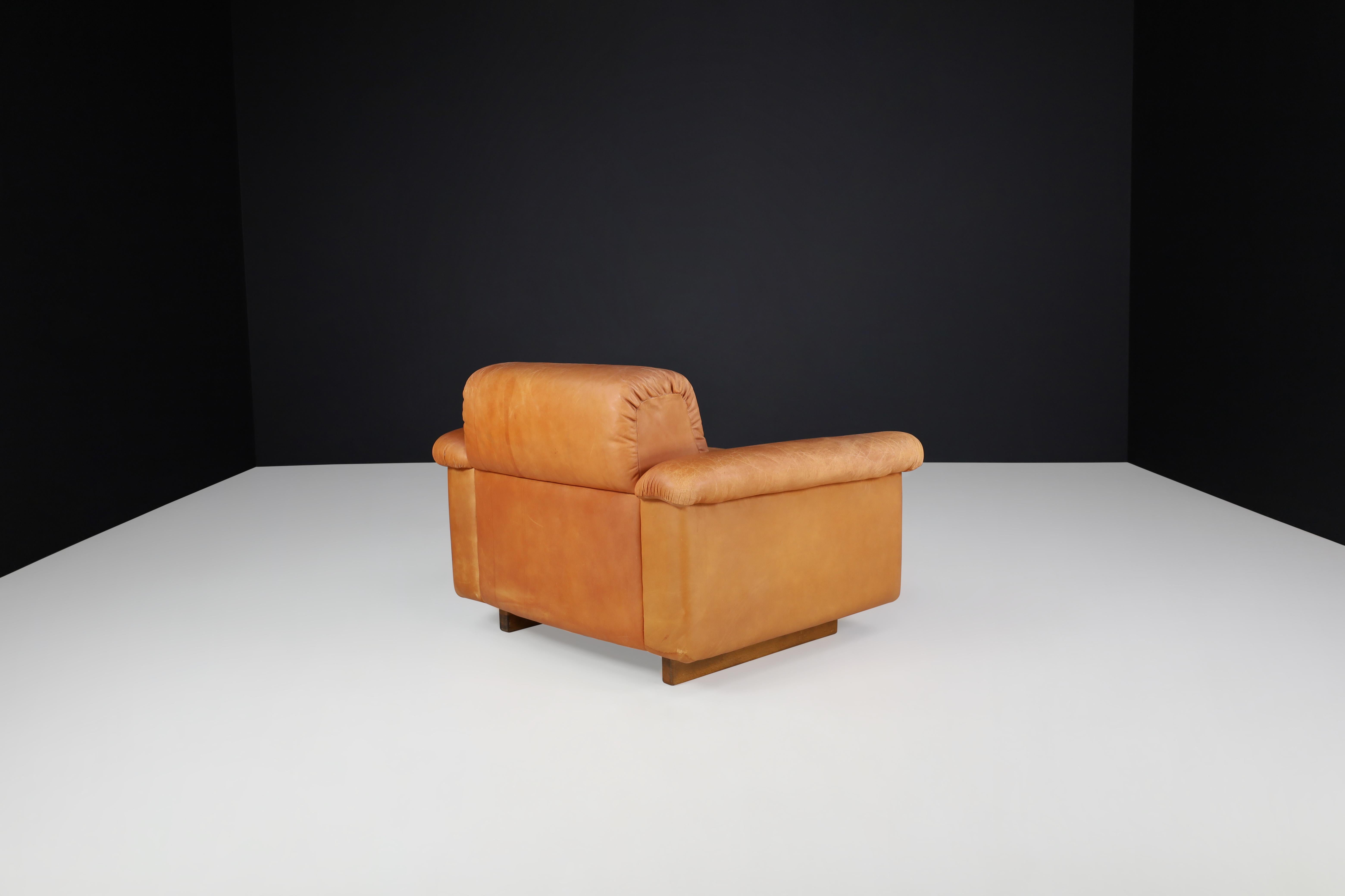 De Sede DS 45 Lounge Chairs in Patinated Leather, Switzerland, 1970s For Sale 4