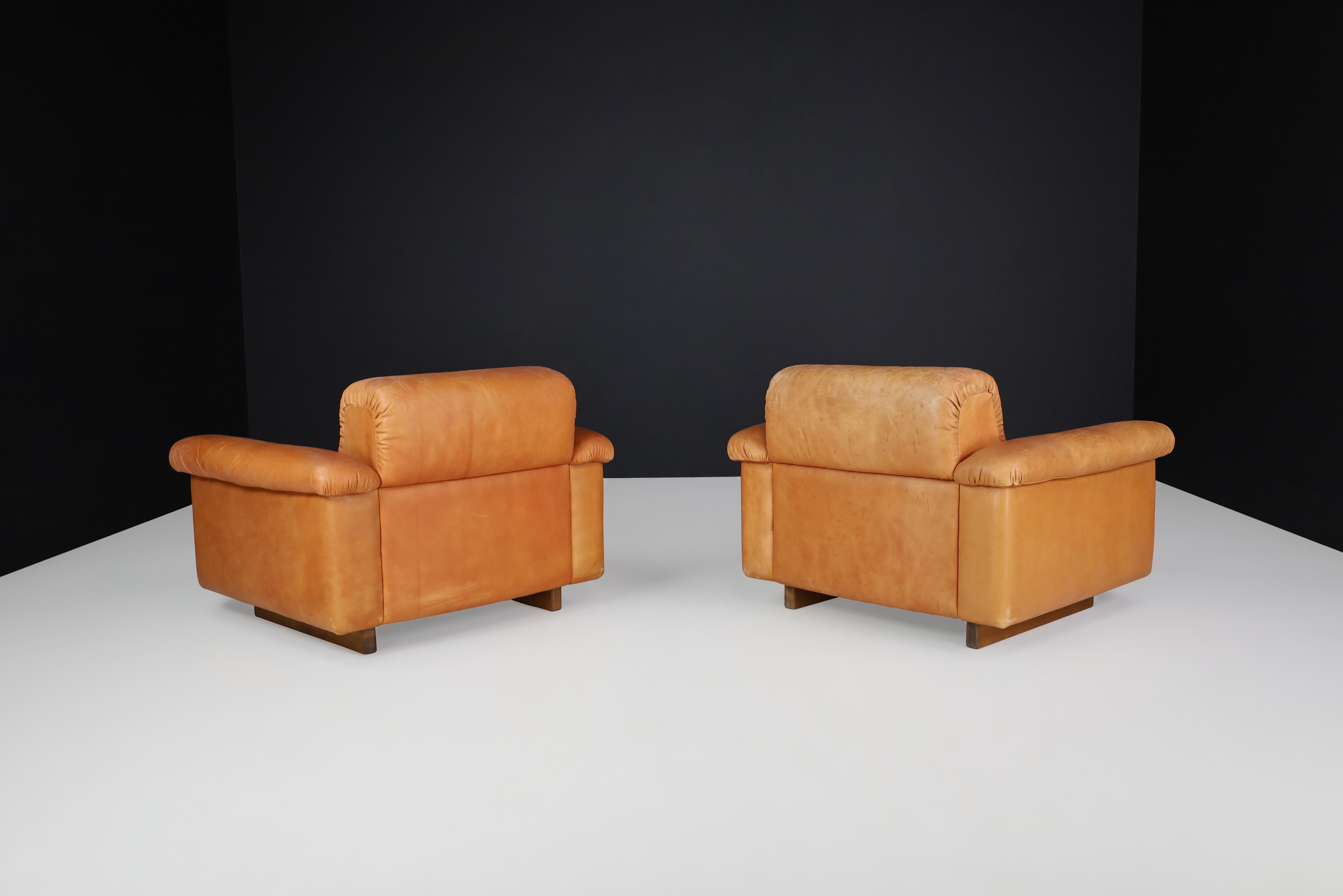 De Sede DS 45 Lounge Chairs in Patinated Leather, Switzerland, 1970s For Sale 6
