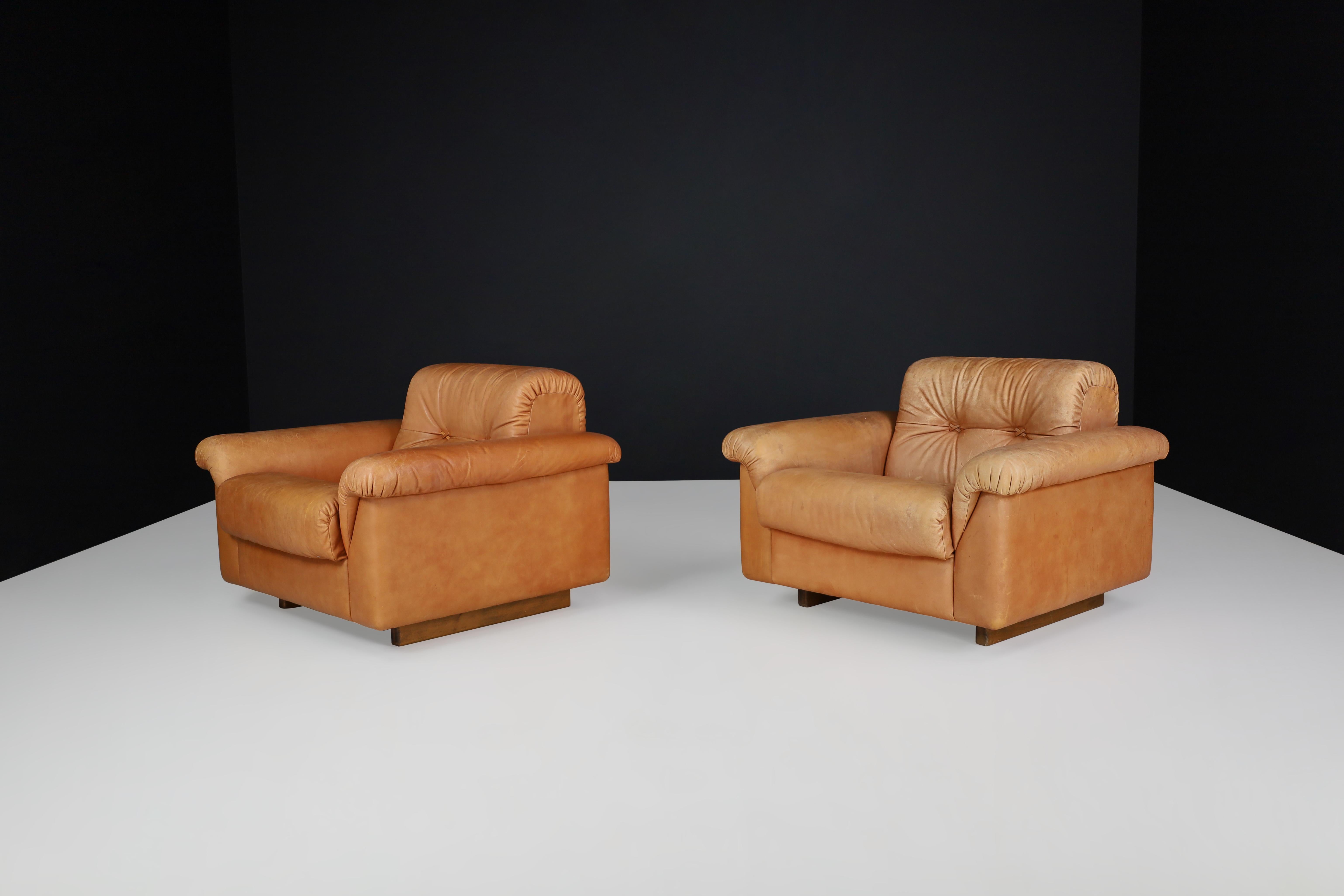 De Sede DS 45 Lounge Chairs in Patinated Leather, Switzerland, 1970s For Sale 7