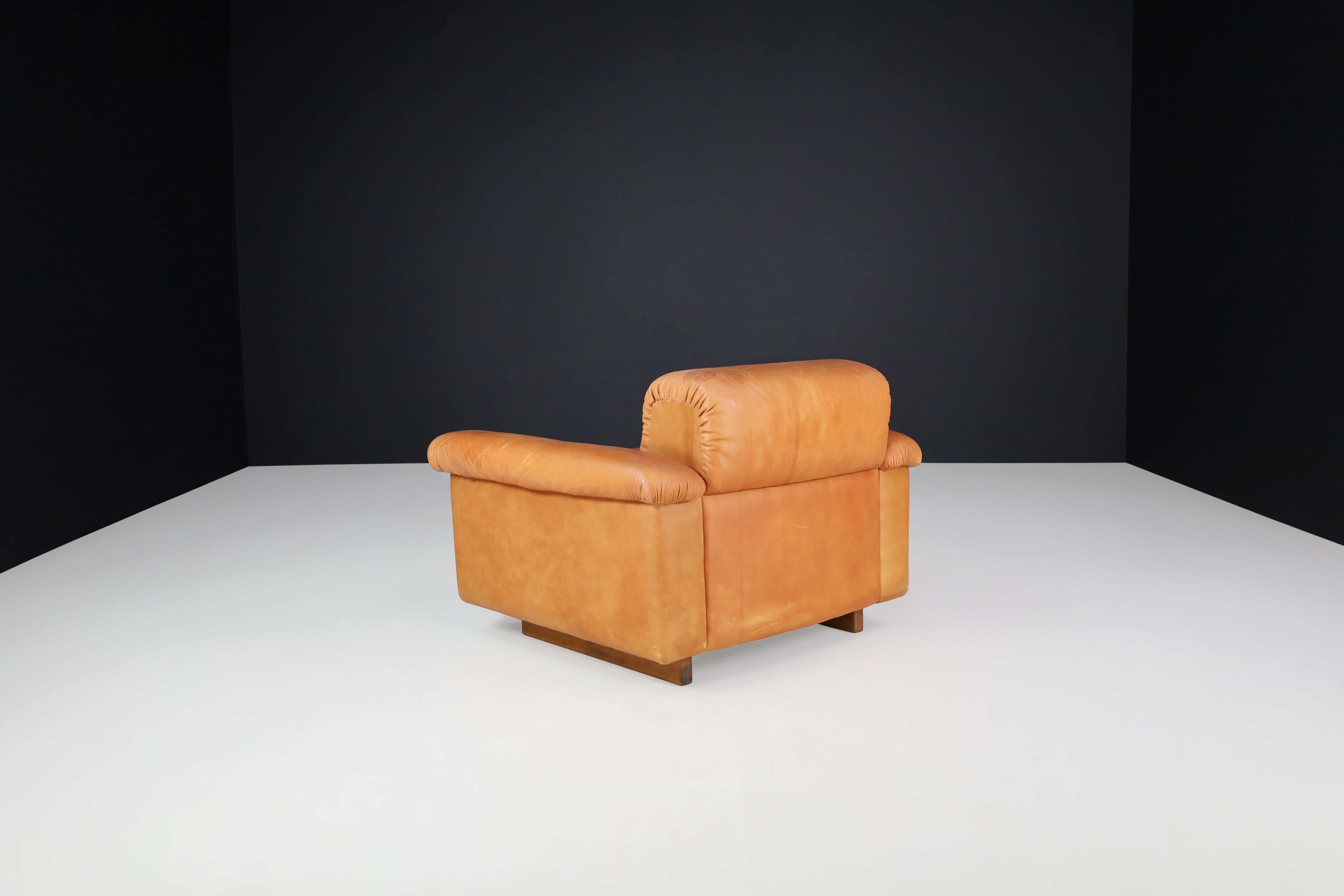De Sede DS 45 Lounge Chairs in Patinated Leather, Switzerland, 1970s For Sale 9