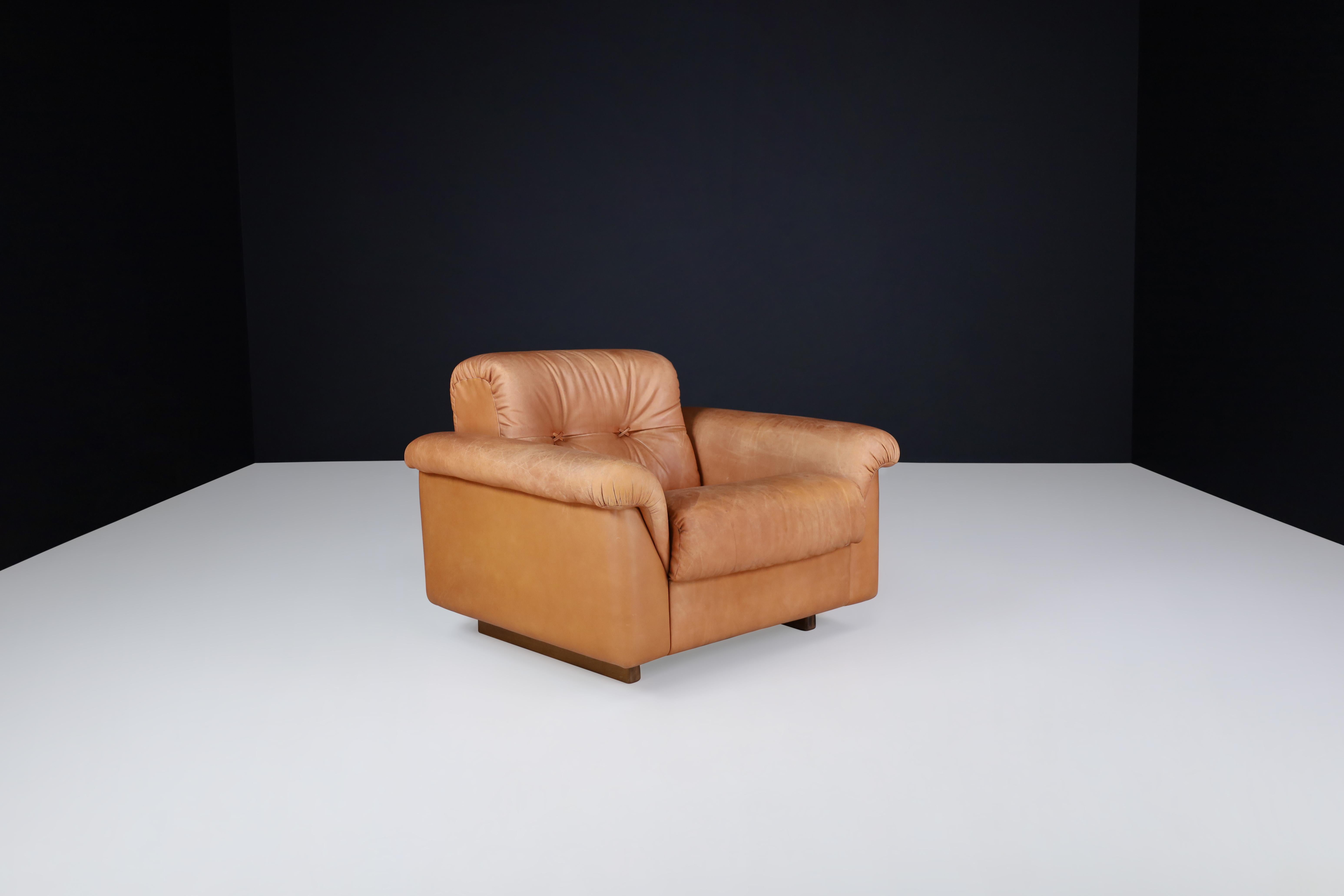 De Sede DS 45 Lounge Chairs in Patinated Leather, Switzerland, 1970s For Sale 10