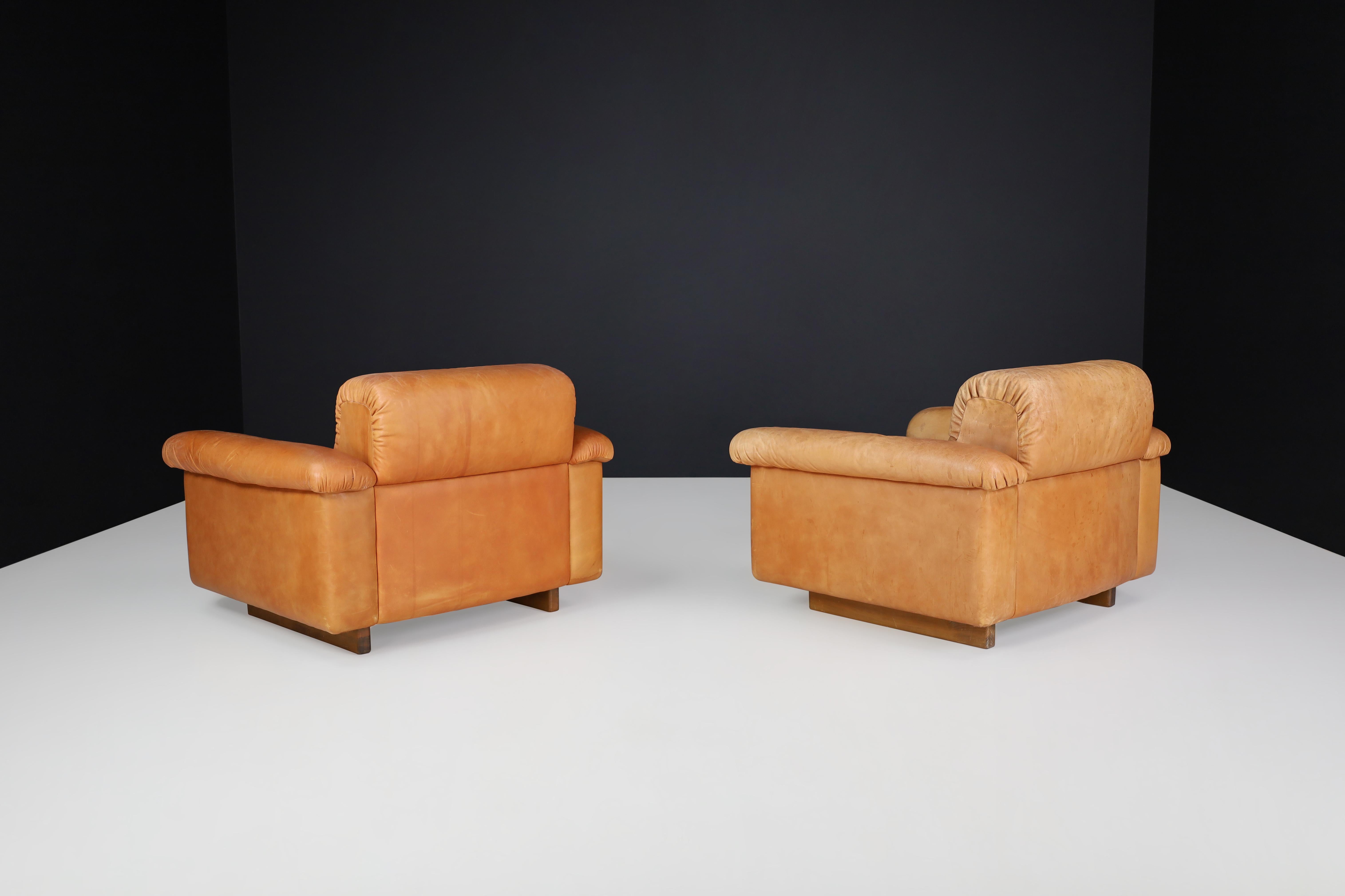 De Sede DS 45 Lounge Chairs in Patinated Leather, Switzerland, 1970s For Sale 1
