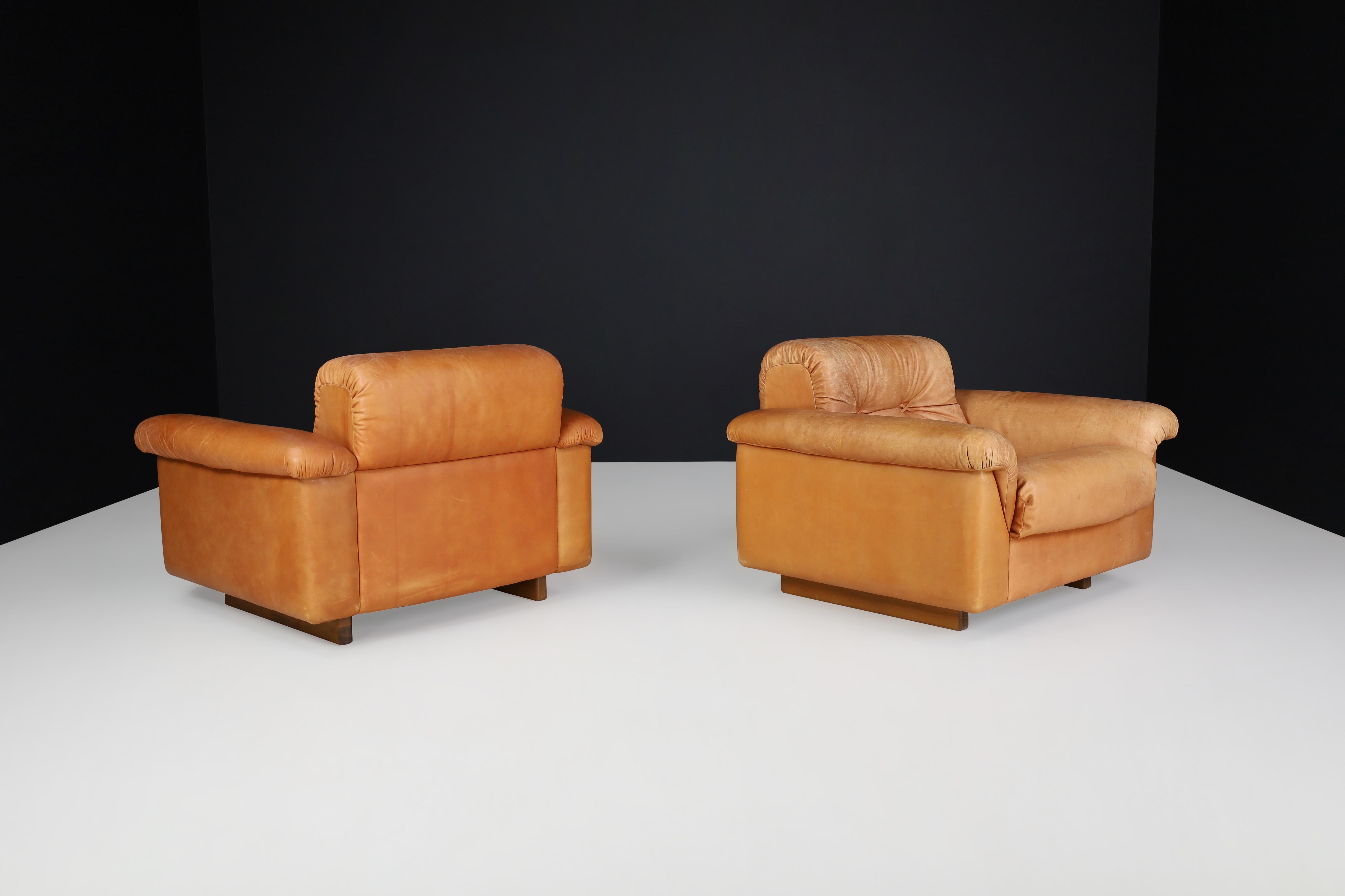 De Sede DS 45 Lounge Chairs in Patinated Leather, Switzerland, 1970s For Sale 2