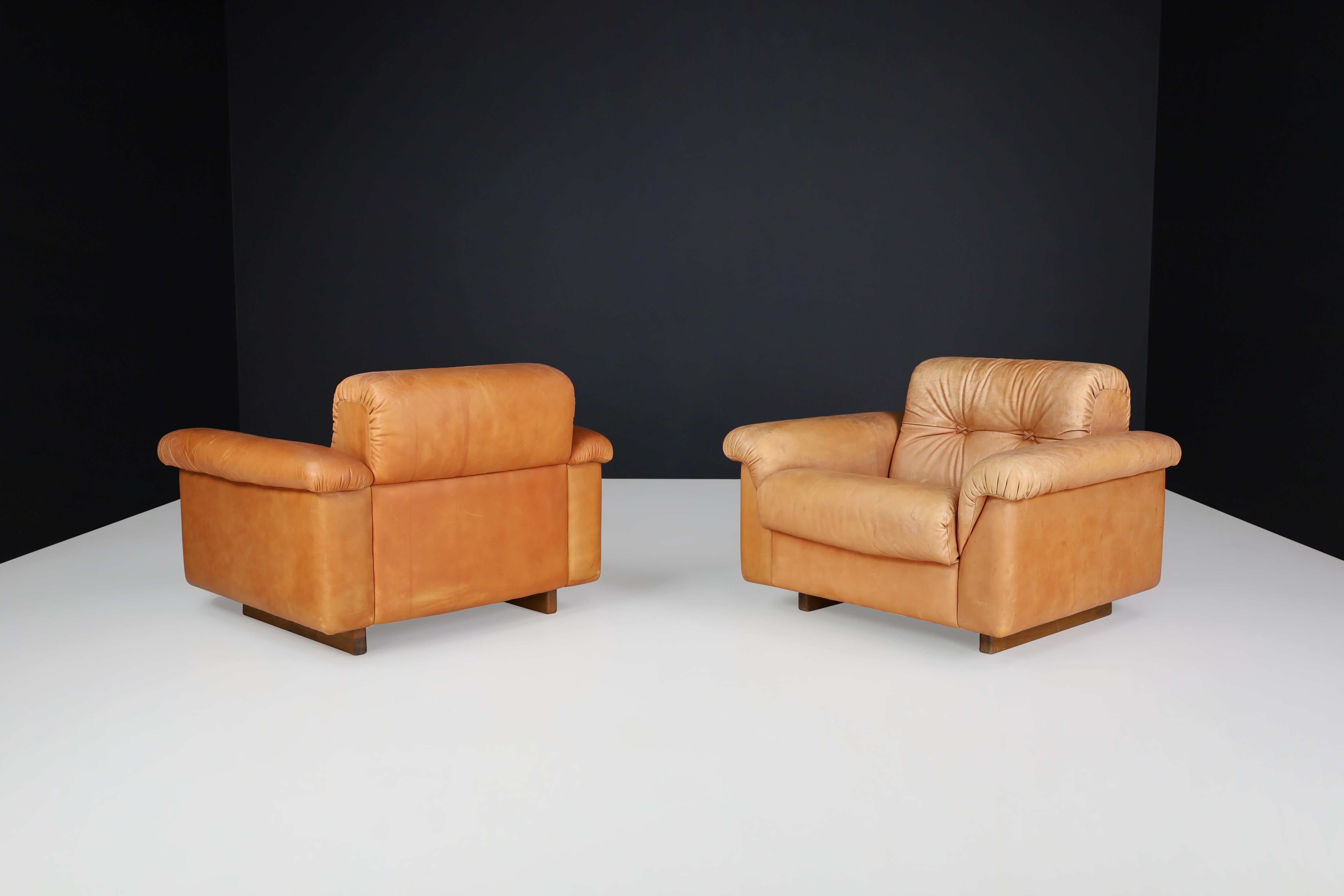 De Sede DS 45 Lounge Chairs in Patinated Leather, Switzerland, 1970s For Sale 3