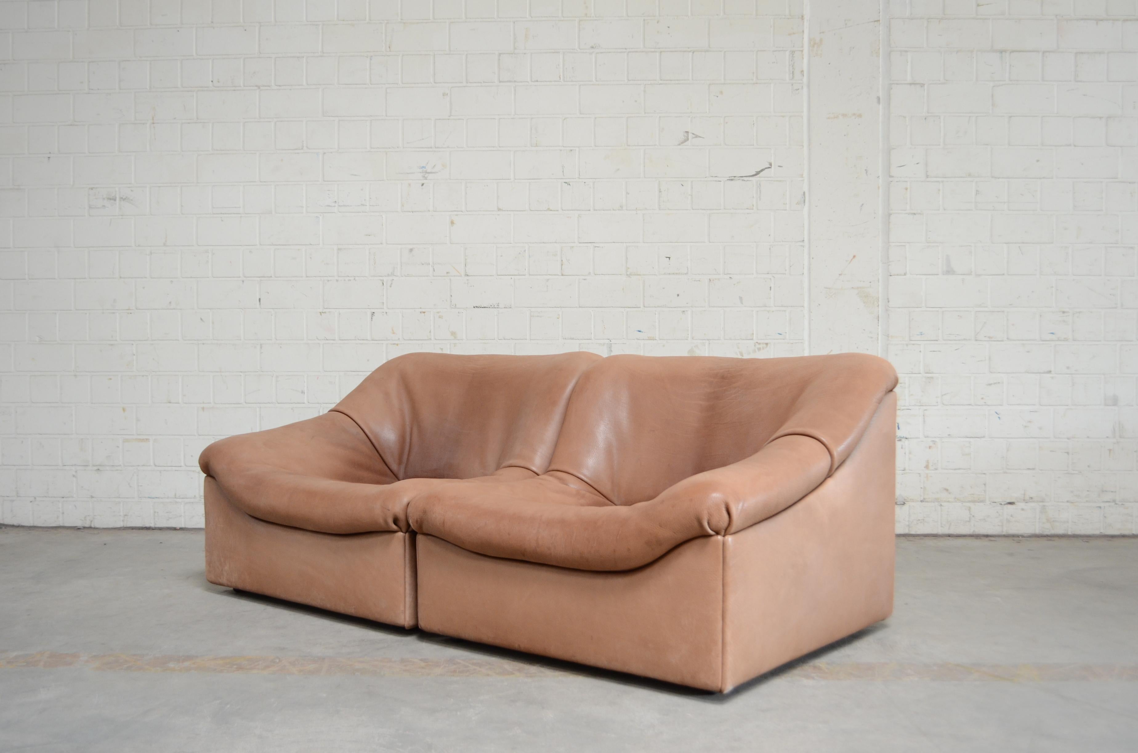 Late 20th Century De Sede DS 46 Loveseat Neck Leather Sofa Modul Brown For Sale