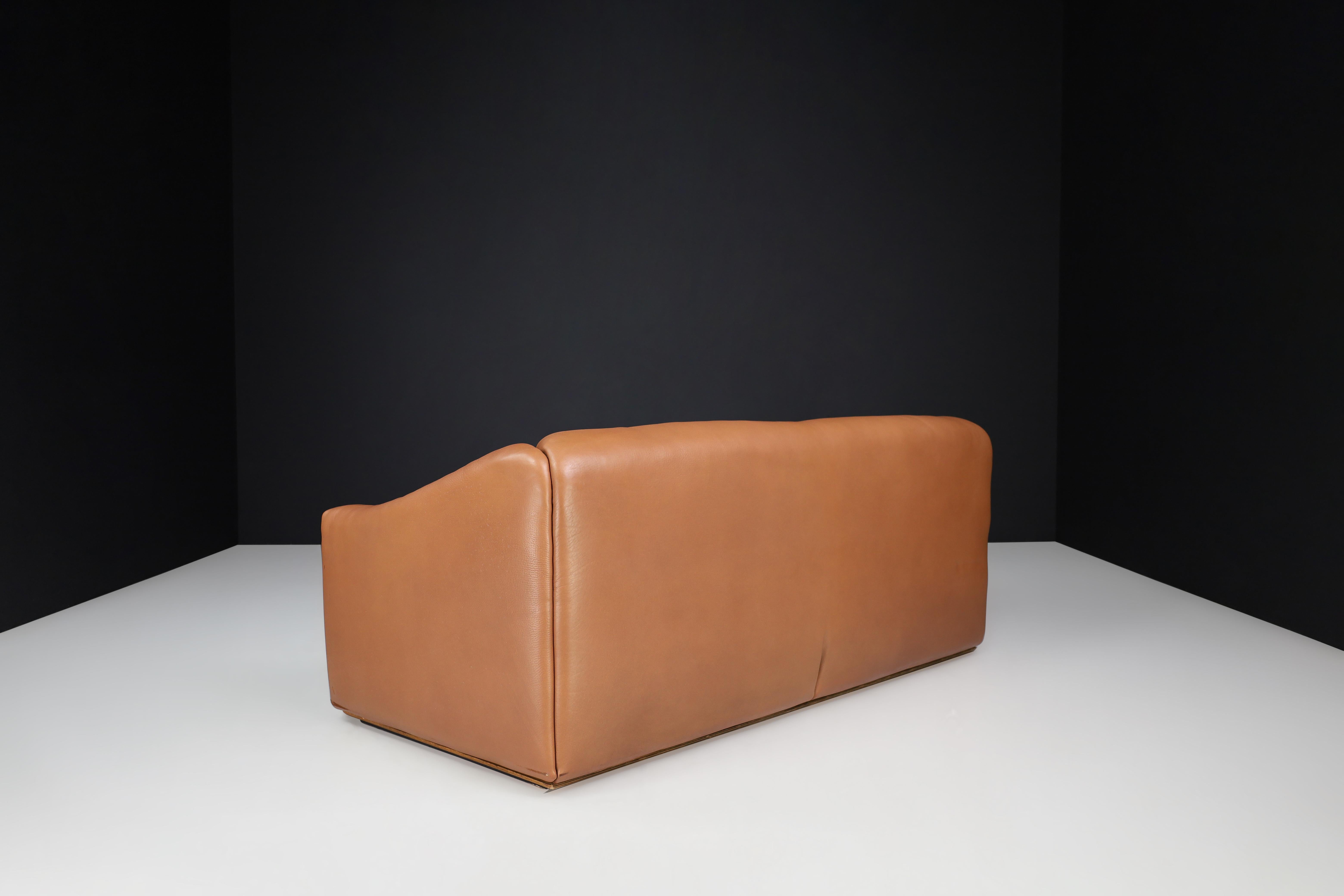 De Sede Ds-47 Brown Neck Leather Sofa from Switzerland, 1970s  For Sale 3