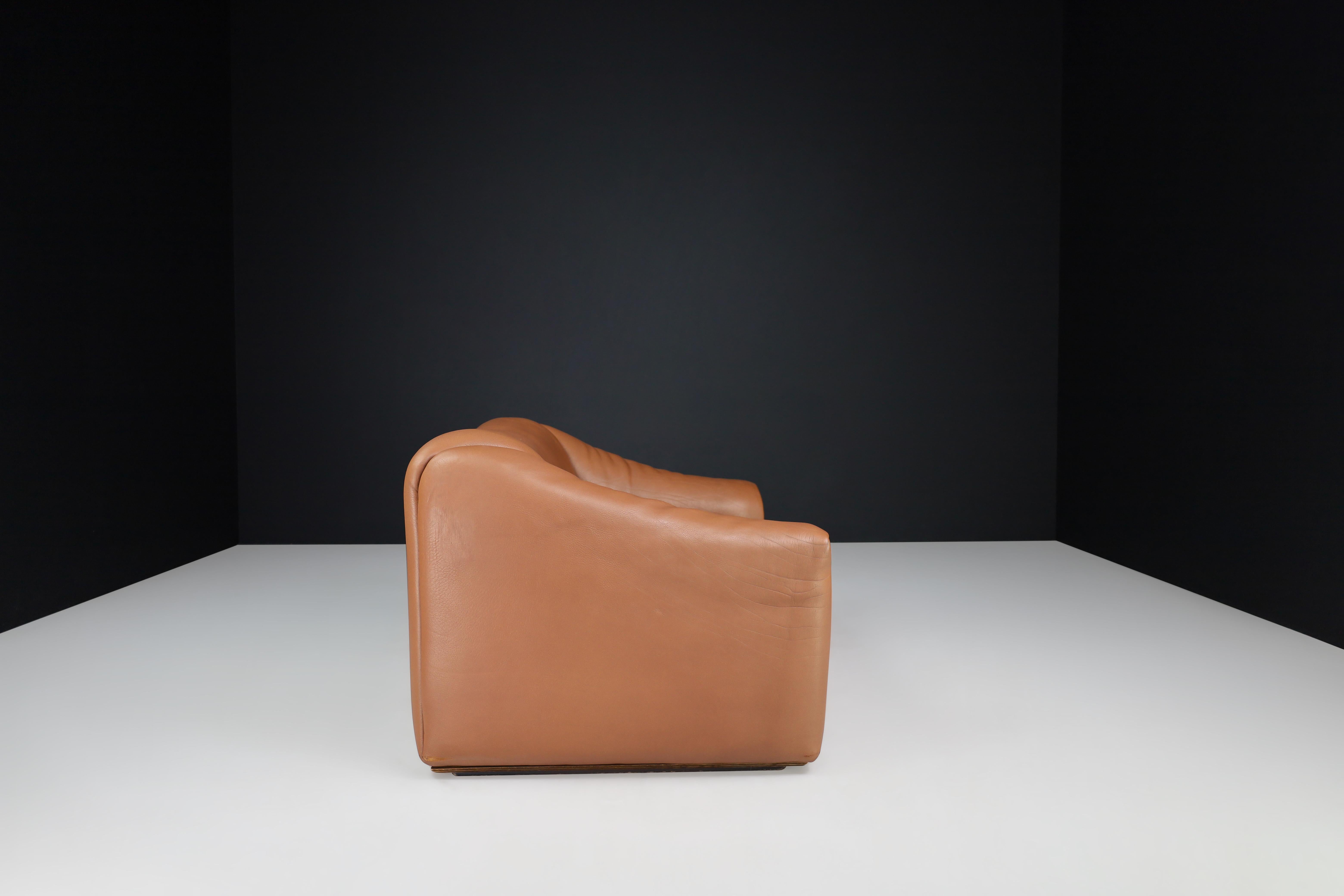 Swiss De Sede DS-47 Brown Neck Leather Two-Seat Sofa from Switzerland, 1970s For Sale