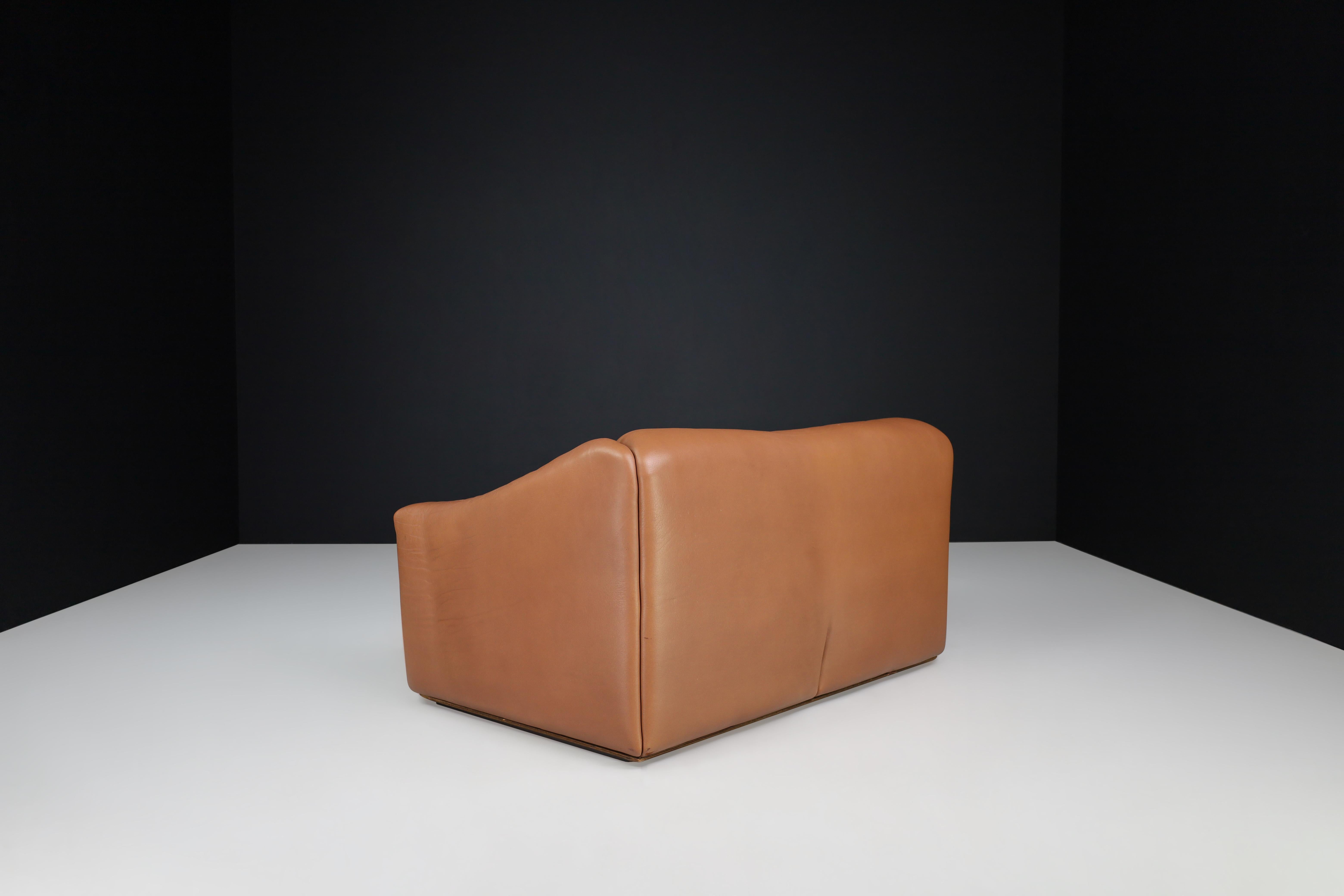 De Sede Ds-47 Zweisitzer-Sofa aus Leder mit braunem Halsausschnitt aus der Schweiz 1970er Jahre im Angebot 1