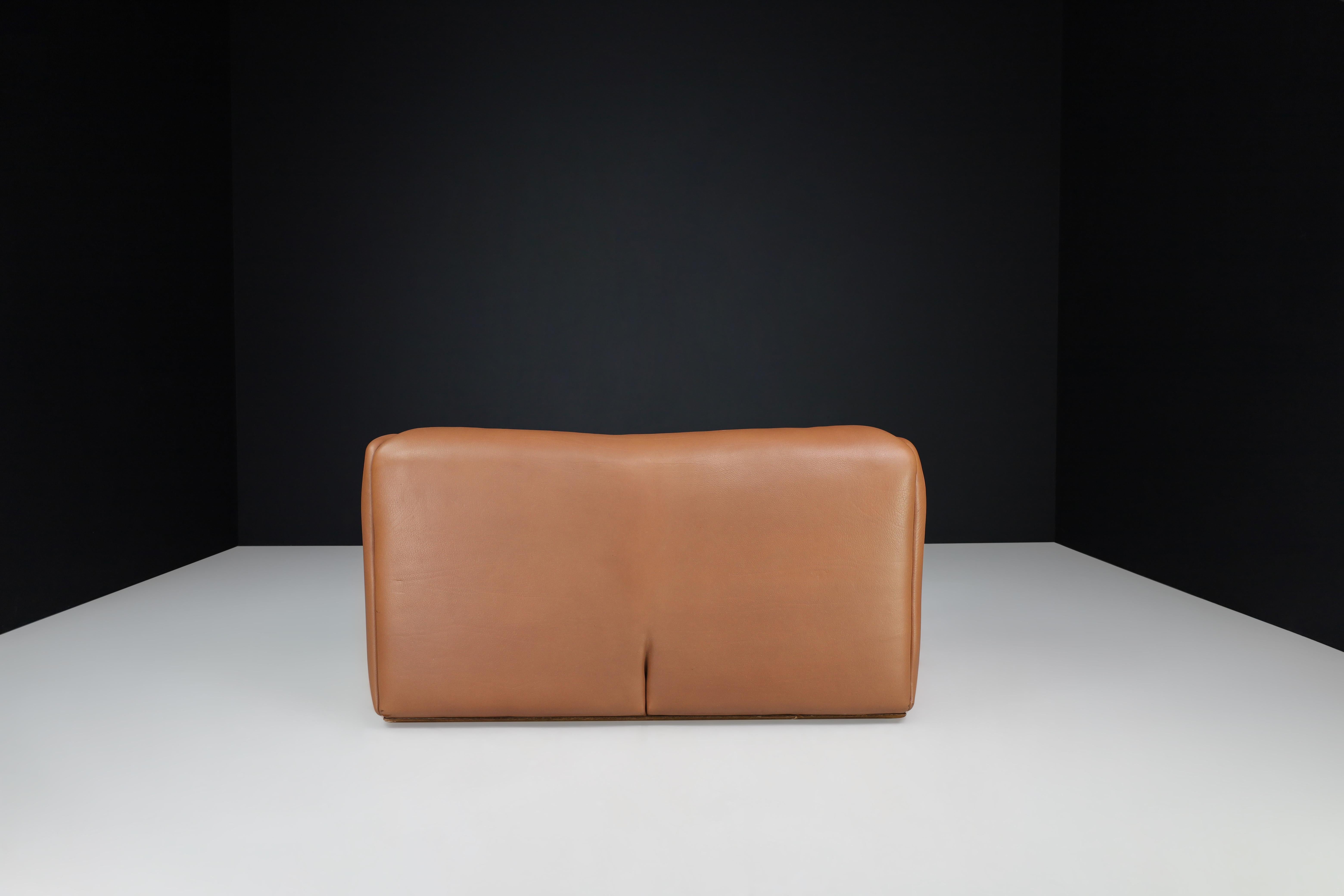 20th Century De Sede DS-47 Brown Neck Leather Two-Seat Sofa from Switzerland, 1970s For Sale