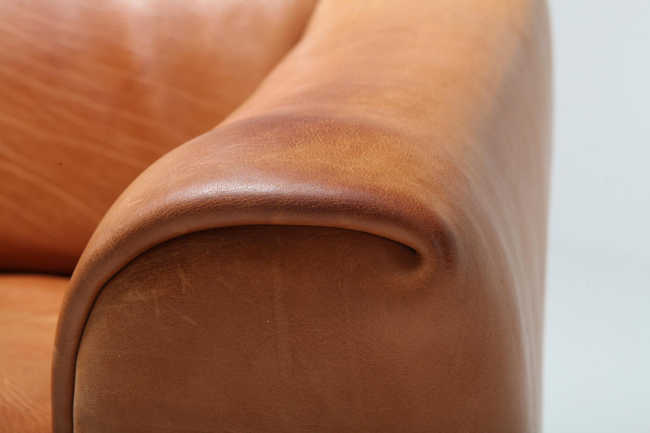 De Sede DS 47 Cognac Leather Sofa 7