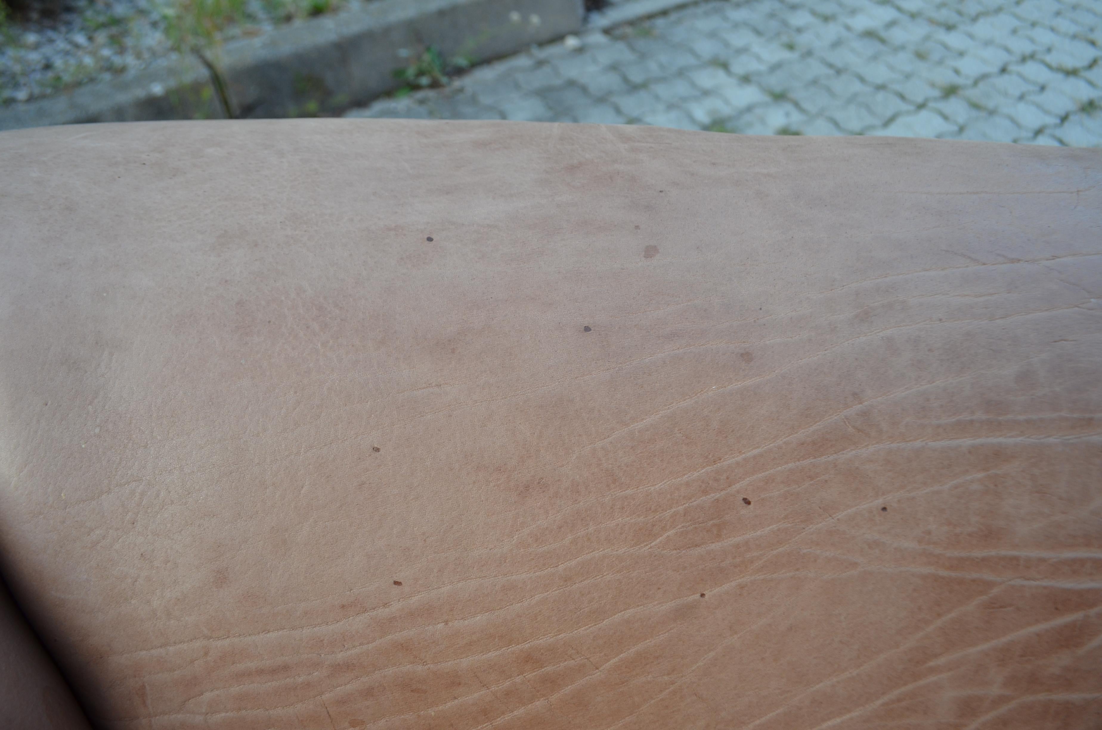 De Sede DS 47 Loveseat Neck Leather Sofa brown For Sale 10