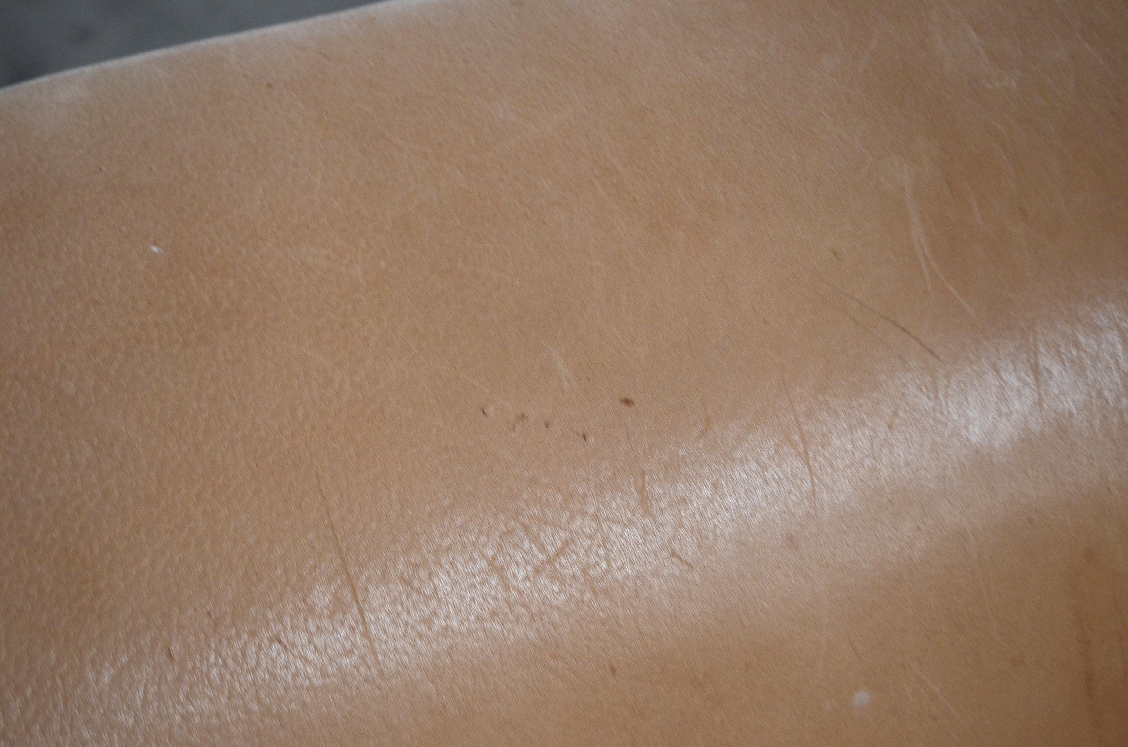 De Sede DS 47 Loveseat Neck Leather Sofa 9