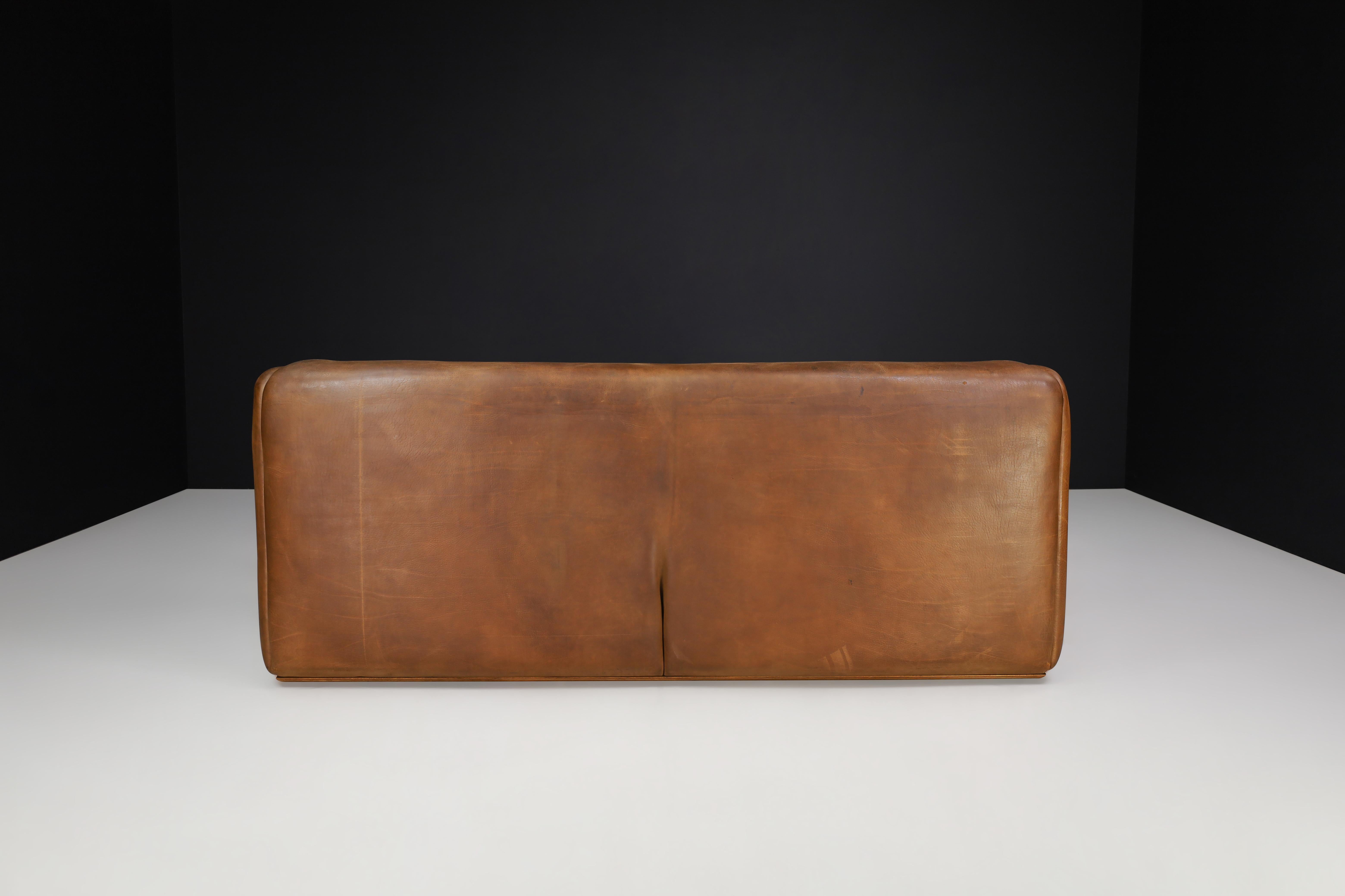 De Sede DS-47 Leder-Sofa mit Neckholder aus der Schweiz, 1970er Jahre   2