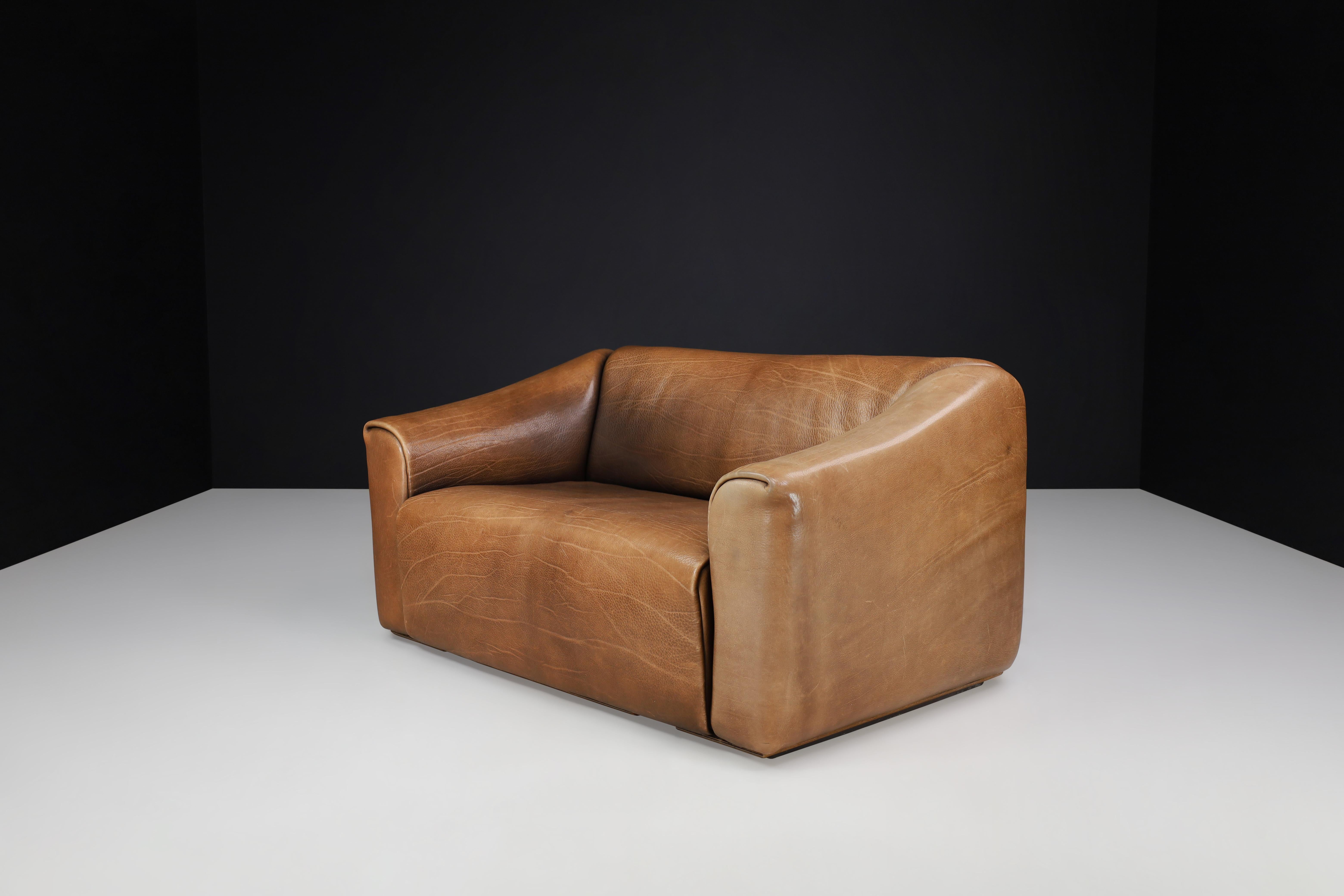 Mid-Century Modern De Sede Ds-47 Neck Leather Two-Seat Sofa from Switzerland 1970s For Sale