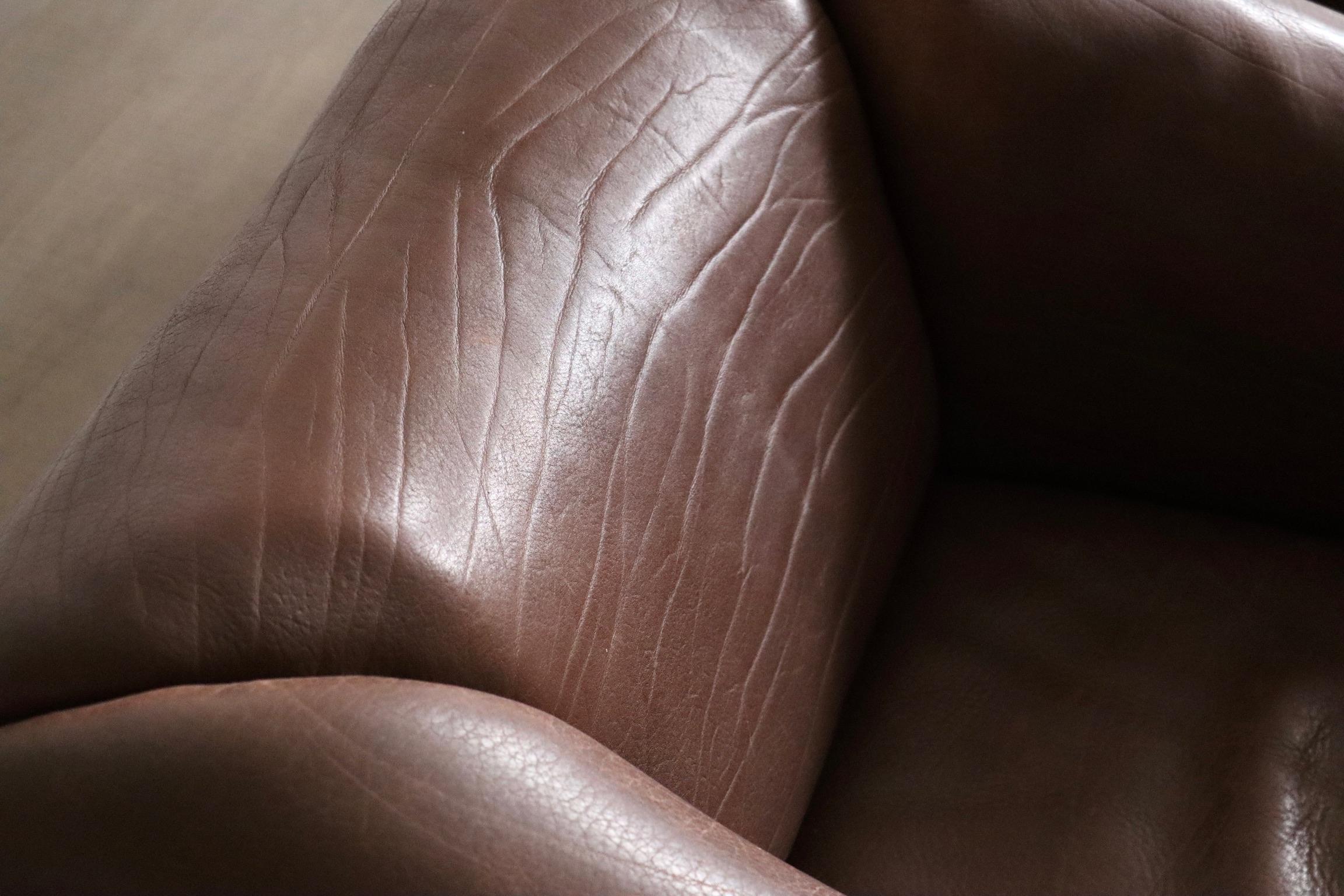 Groupe de sièges DS-47 de De Sede en cuir de buffle, années 1970 en vente 6