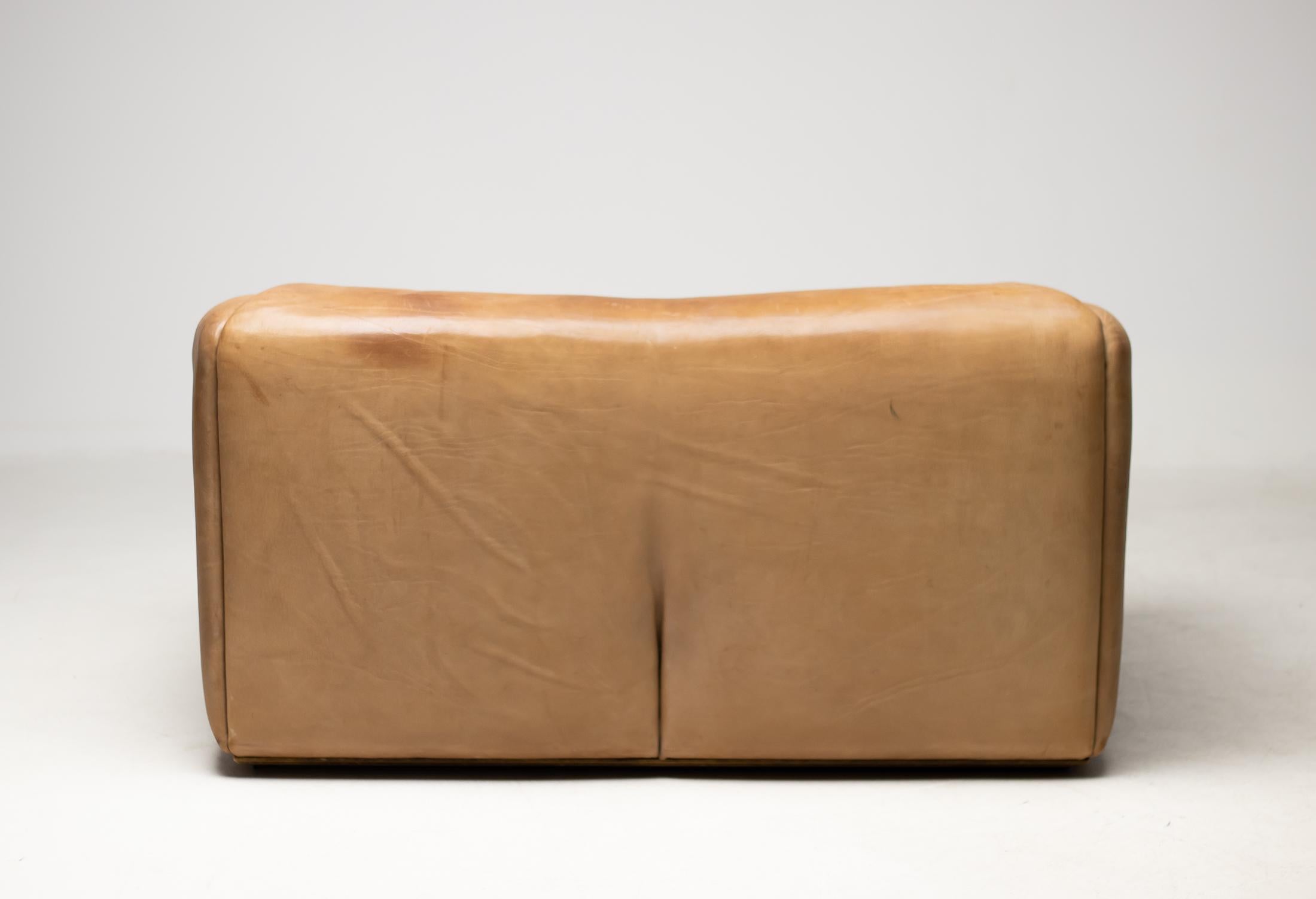 De Sede DS-47 Sofa in Brown Buffalo Leather 5