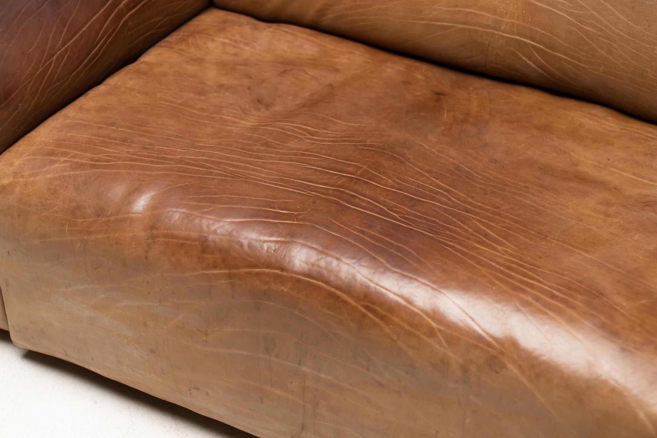 Late 20th Century De Sede DS-47 Sofa in Brown Buffalo Leather