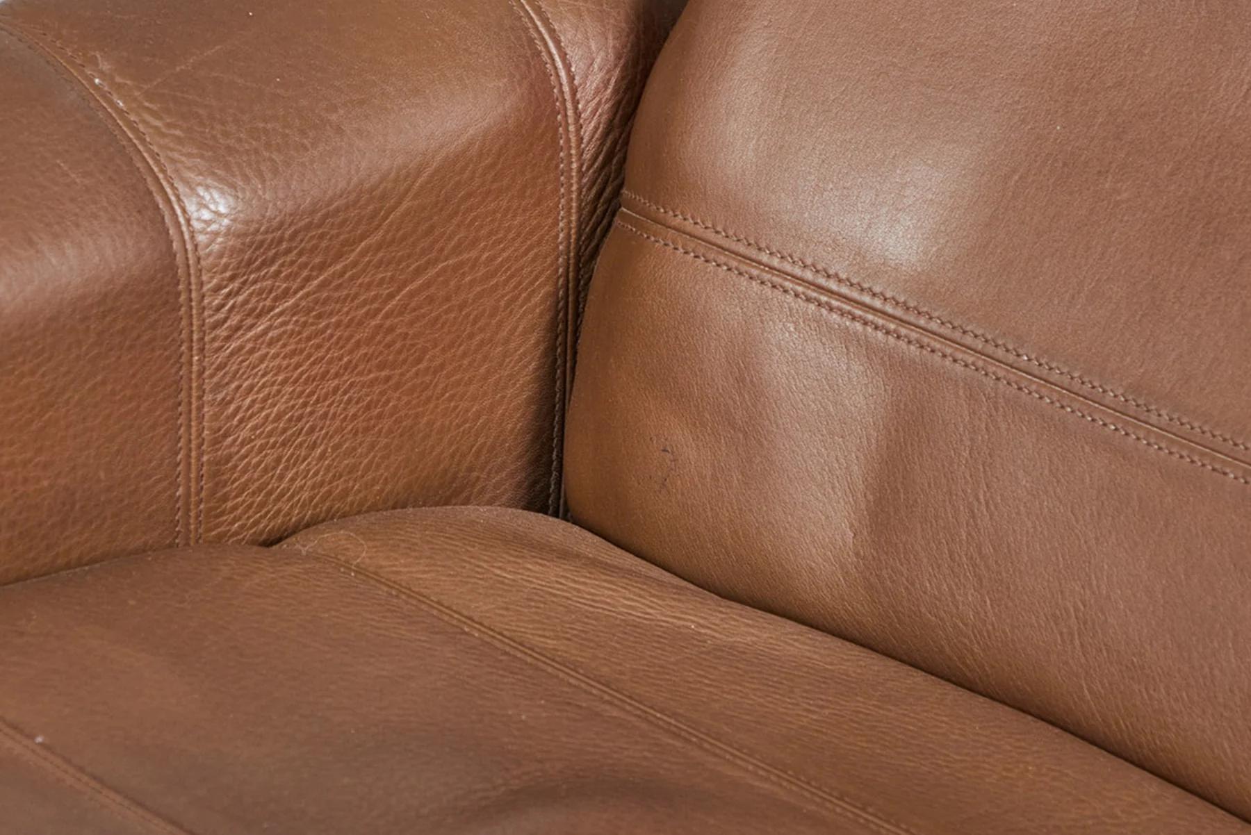 Swiss De sede ds 50 swivel lounge chair and ottoman in buffalo leather For Sale