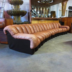 De Sede DS-600 Non Stop Leather Sofa, 16 Sections