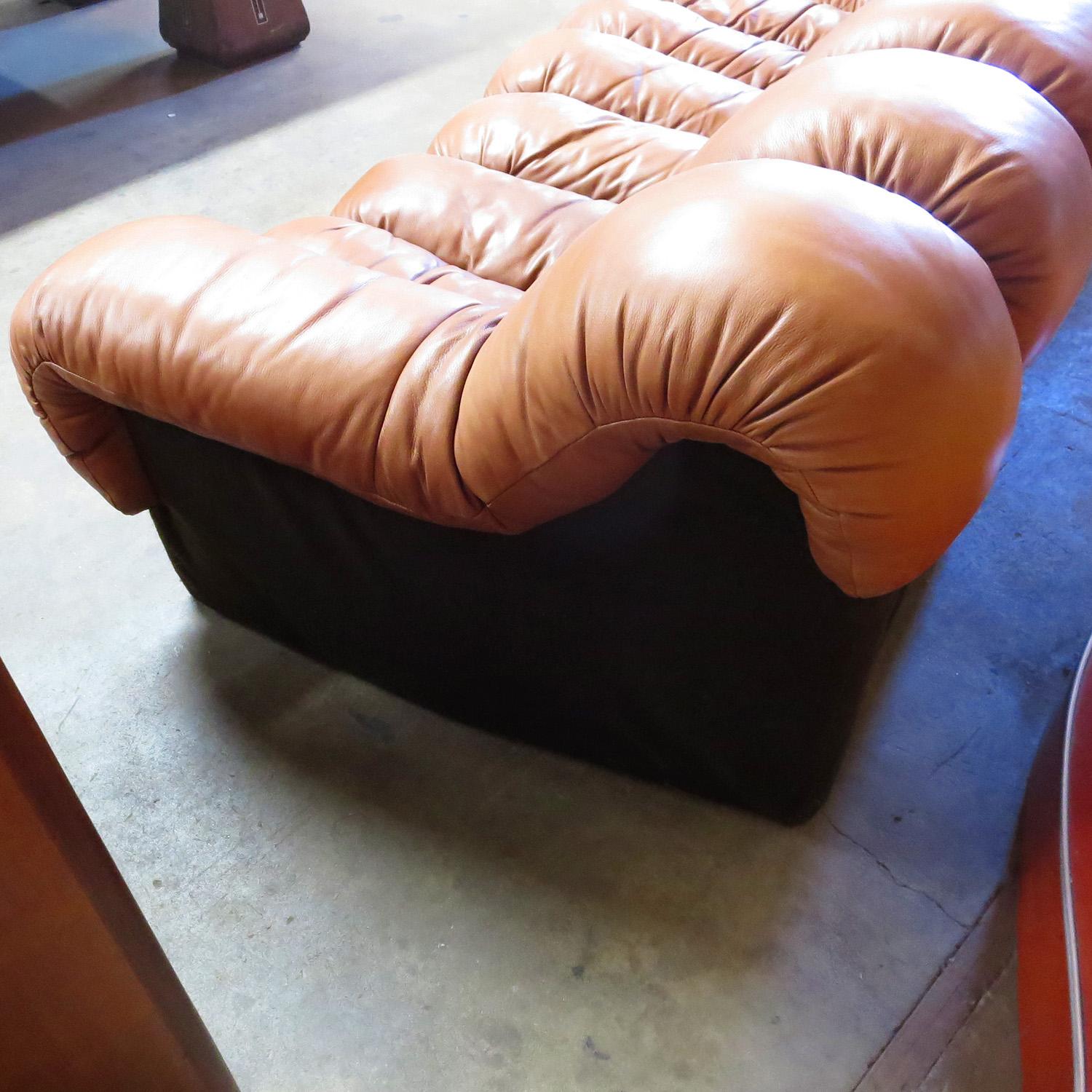De Sede DS-600 Non Stop Leather Sofa, 16 Sections 1