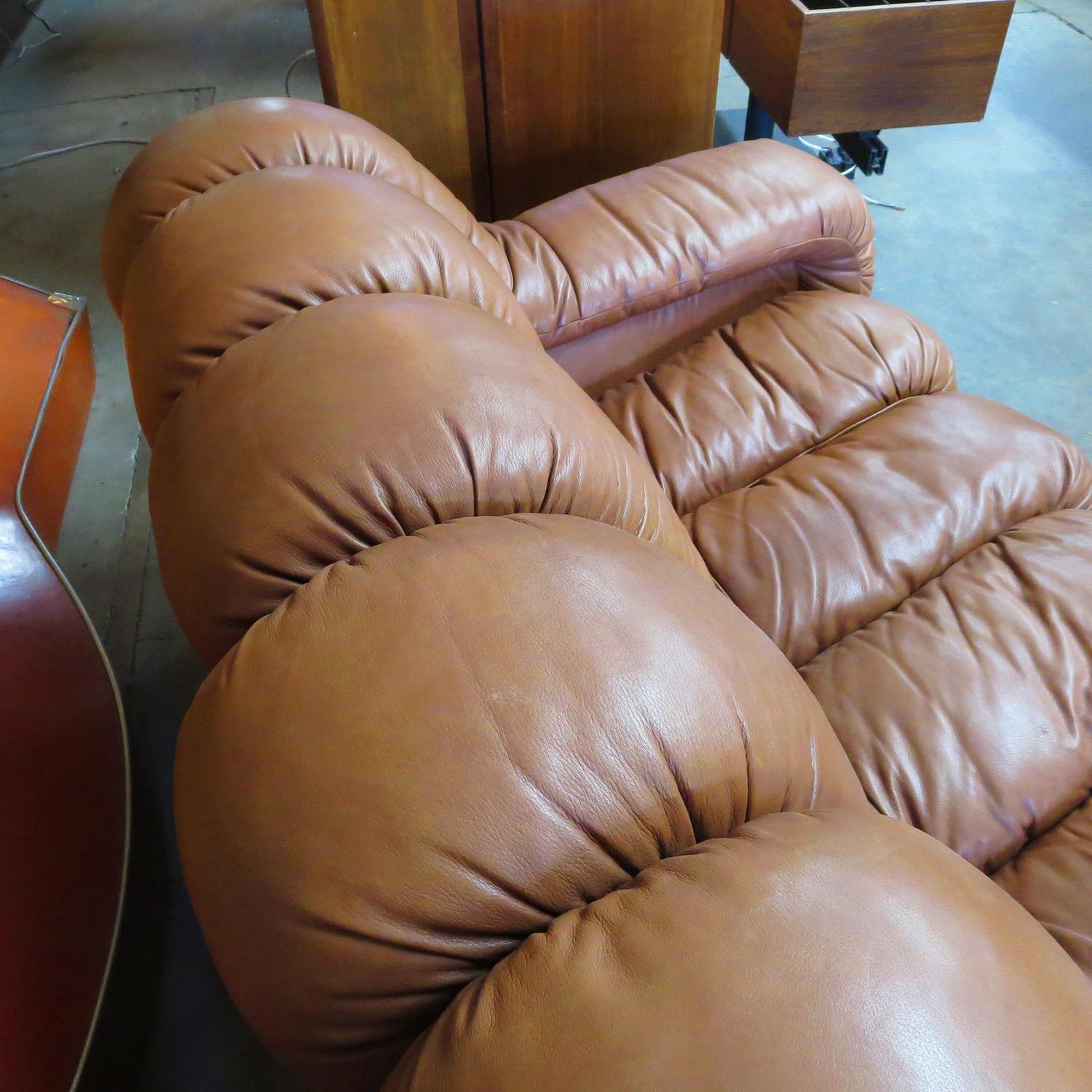 De Sede DS-600 Non Stop Leather Sofa, 16 Sections 2