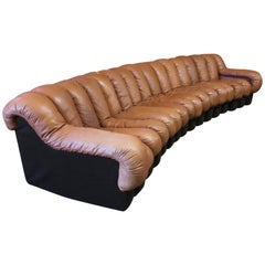 De Sede DS-600 Non Stop Leather Sofa, 16 Sections