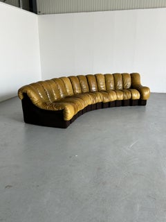 De Sede DS-600 ''Non Stop'' Sectional Sofa, 1970s Early Model, Set of 14