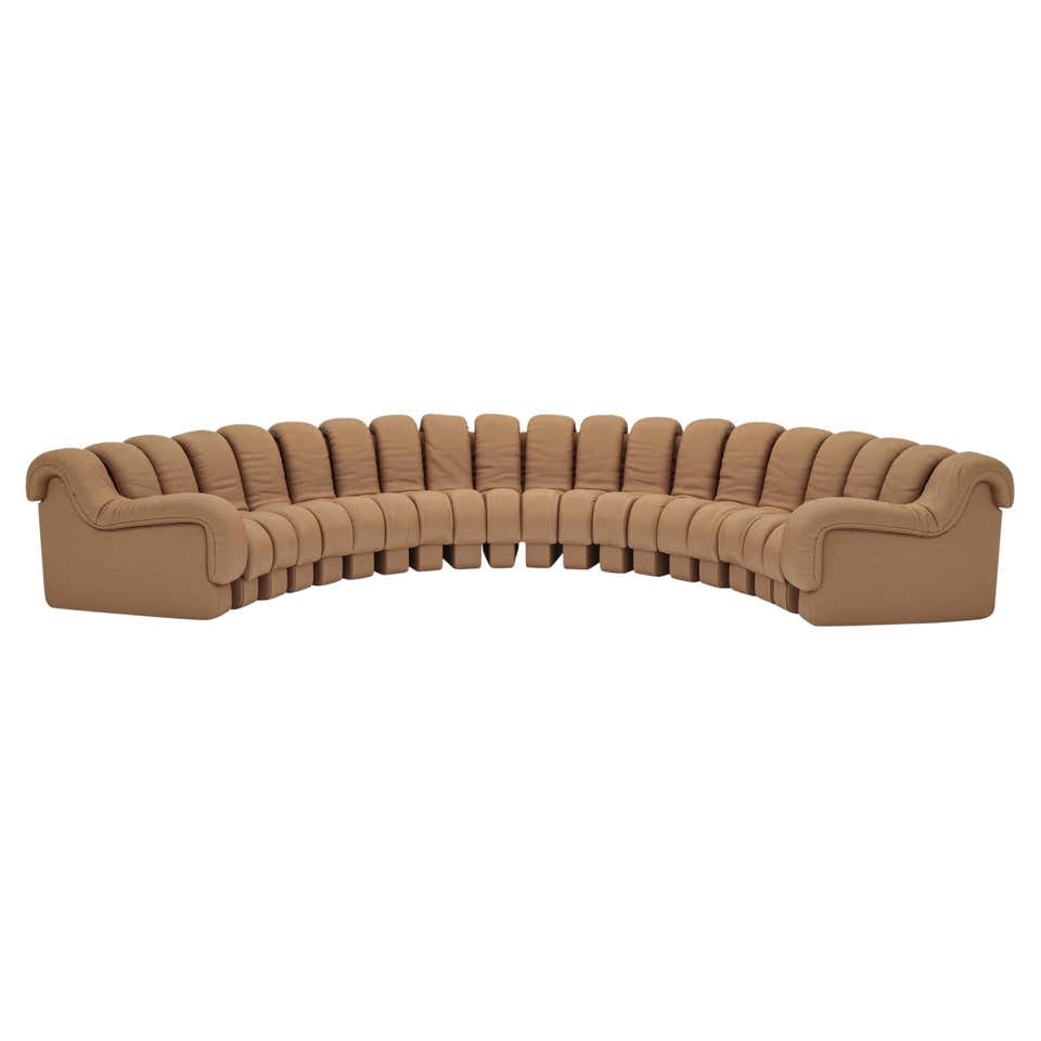 Snake Iconn De Sede DS-600 'Snake' Sectional Sofa in Brown Leather For Sale at 1stDibs