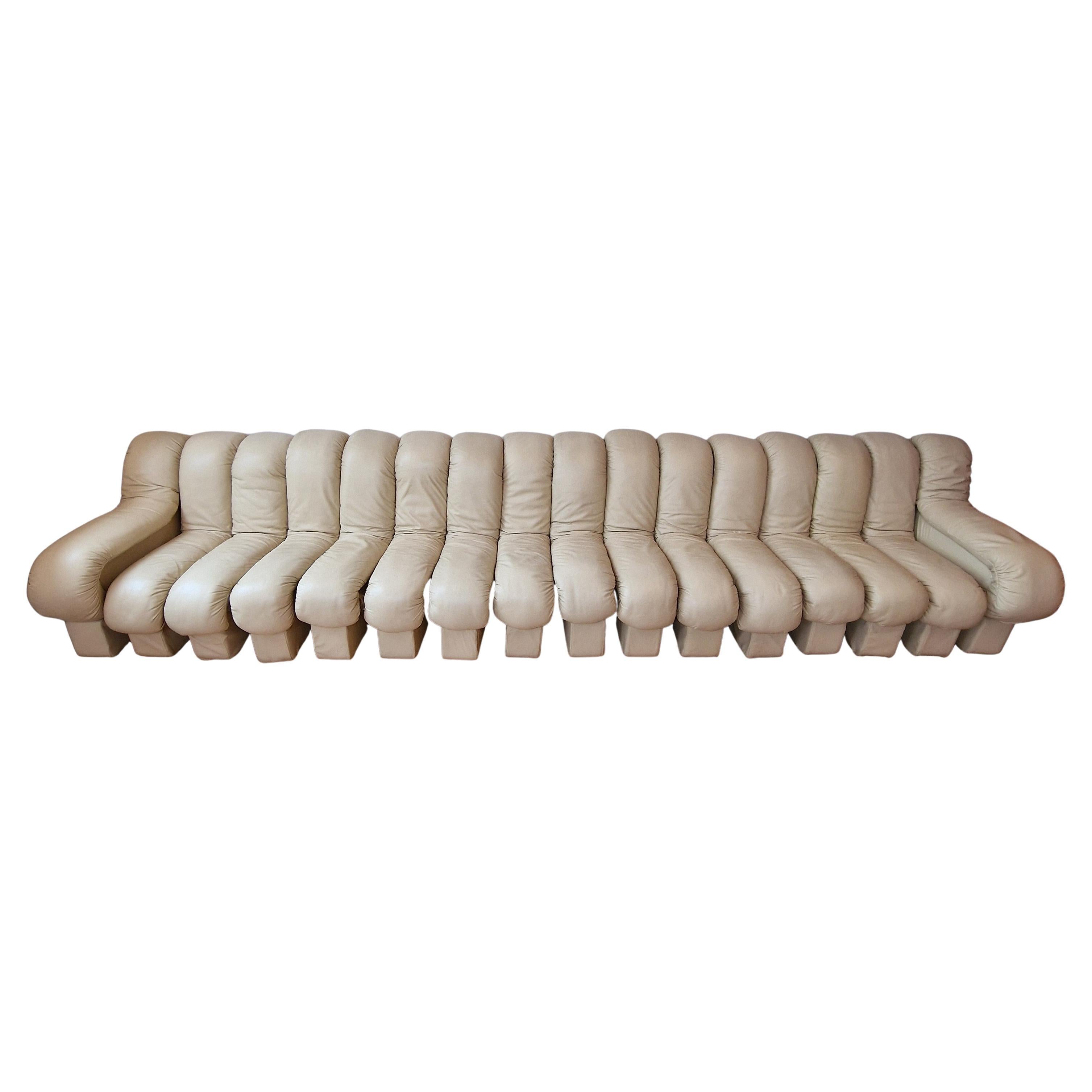 De Sede Ds-600 Divano modulare Snake "Non Stop" in pelle intera