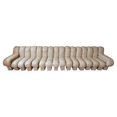 De Sede Ds-600 canapé modulaire serpent non arrêté en cuir complet