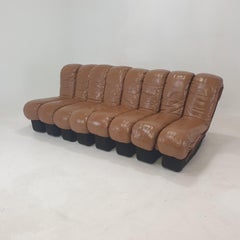 De Sede Ds-600 "Non Stop" Snake Shaped Modular Sofa, 1980's