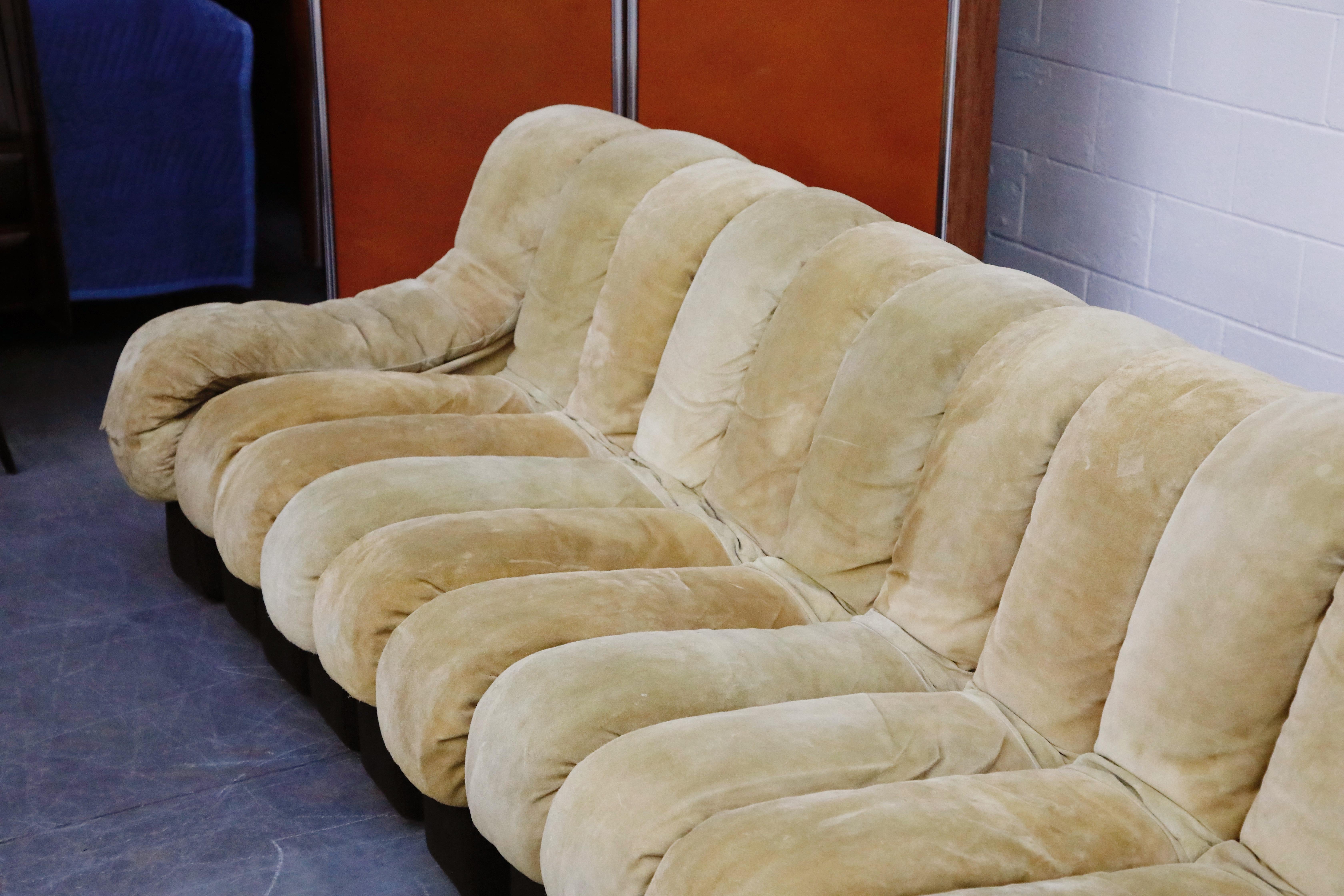 De Sede DS-600 'Non Stop Sofa' in Tan Suede, 19 Sections, Signed 2