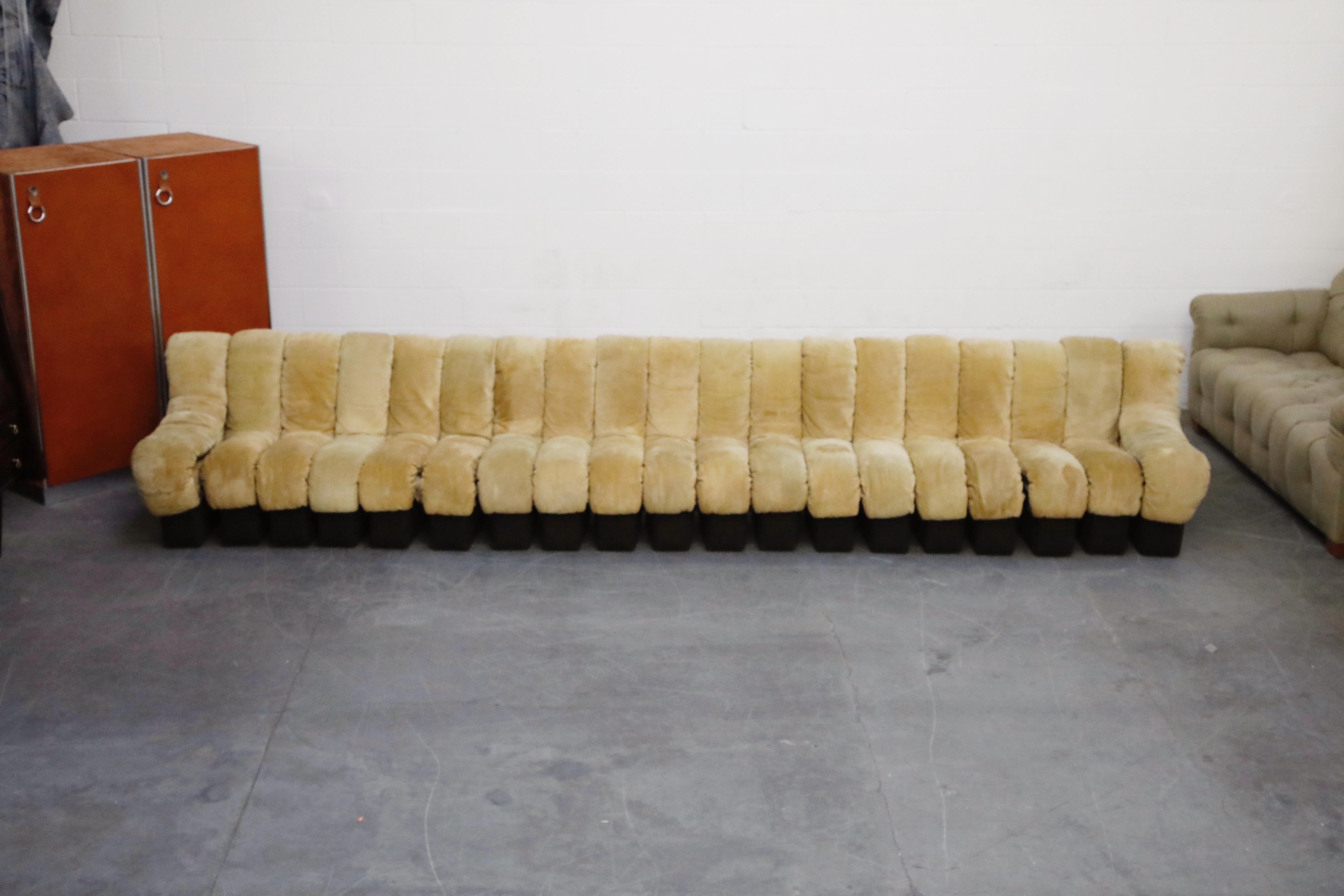 centipede couch