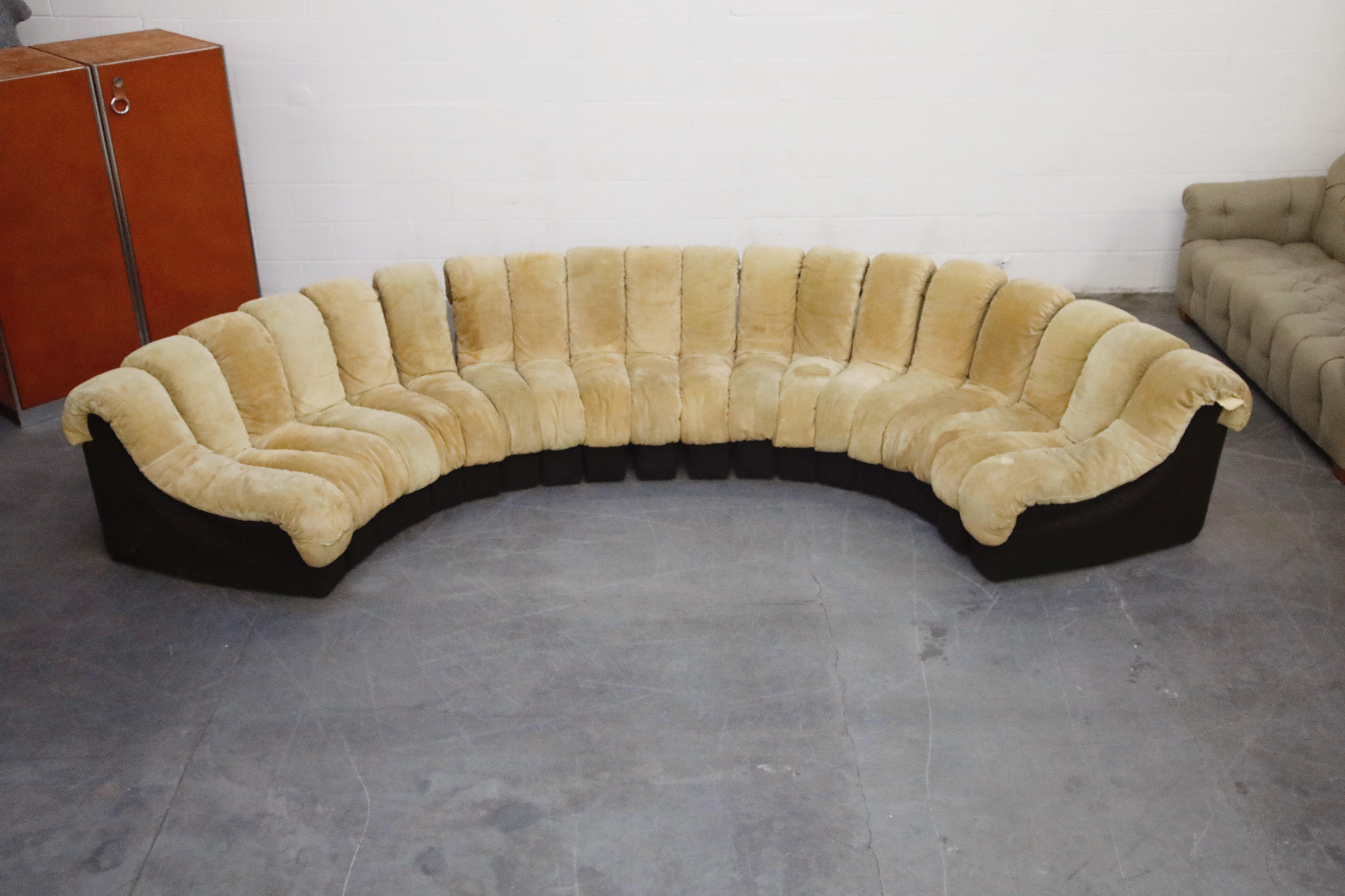 Modern De Sede DS-600 'Non Stop Sofa' in Tan Suede, 19 Sections, Signed