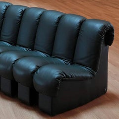 De Sede DS-600 Nonstop Snake Shaped Modular Sofa in Black Leather